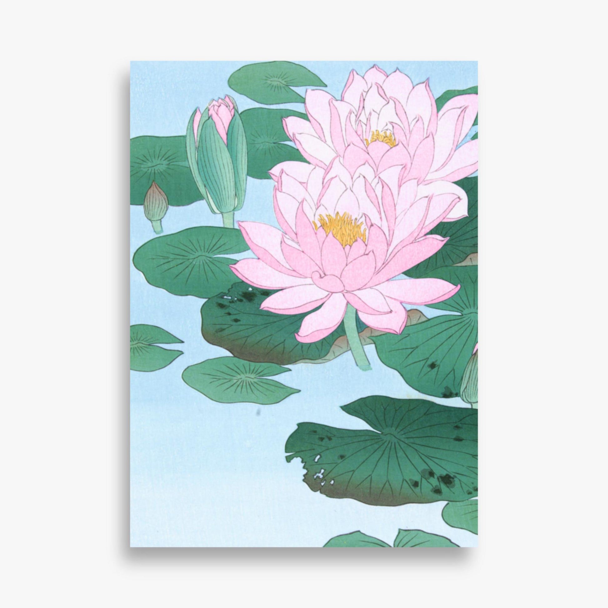 Ohara Koson - Water Lily 50x70 cm Poster