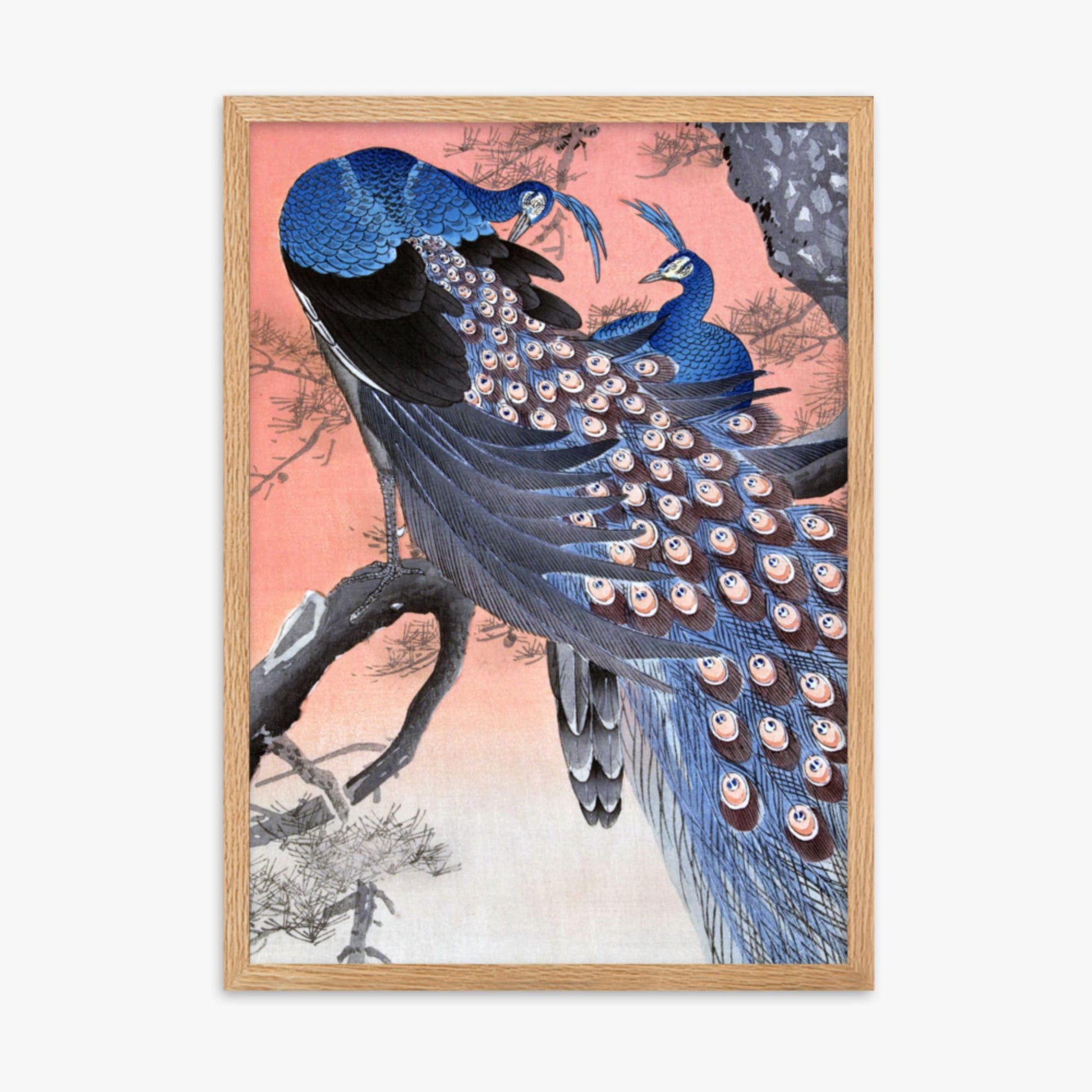 Ohara Koson - Two Peacocks on Tree Branch 50x70 cm Poster With Oak Frame