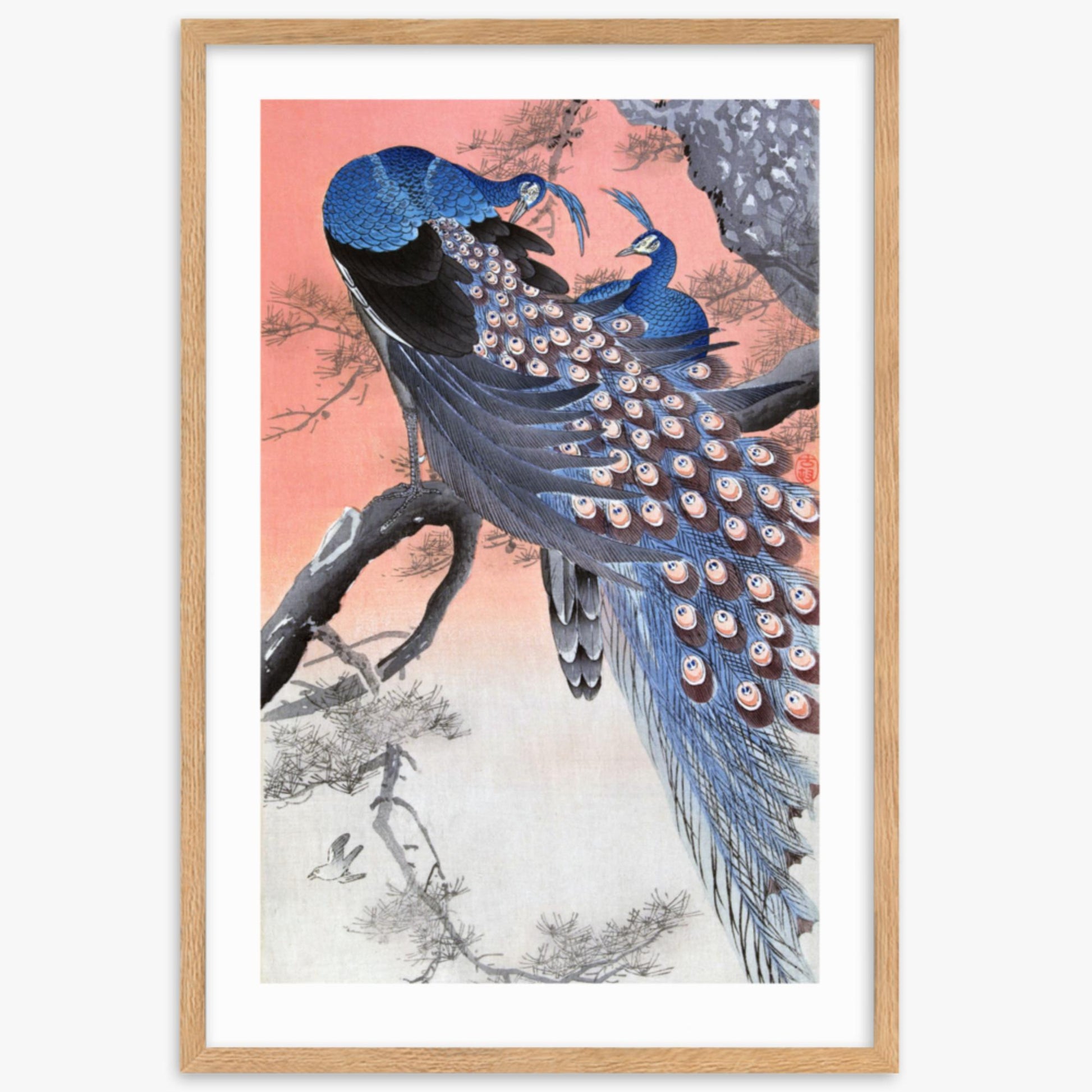 Ohara Koson - Two Peacocks on Tree Branch 61x91 cm Poster With Oak Frame