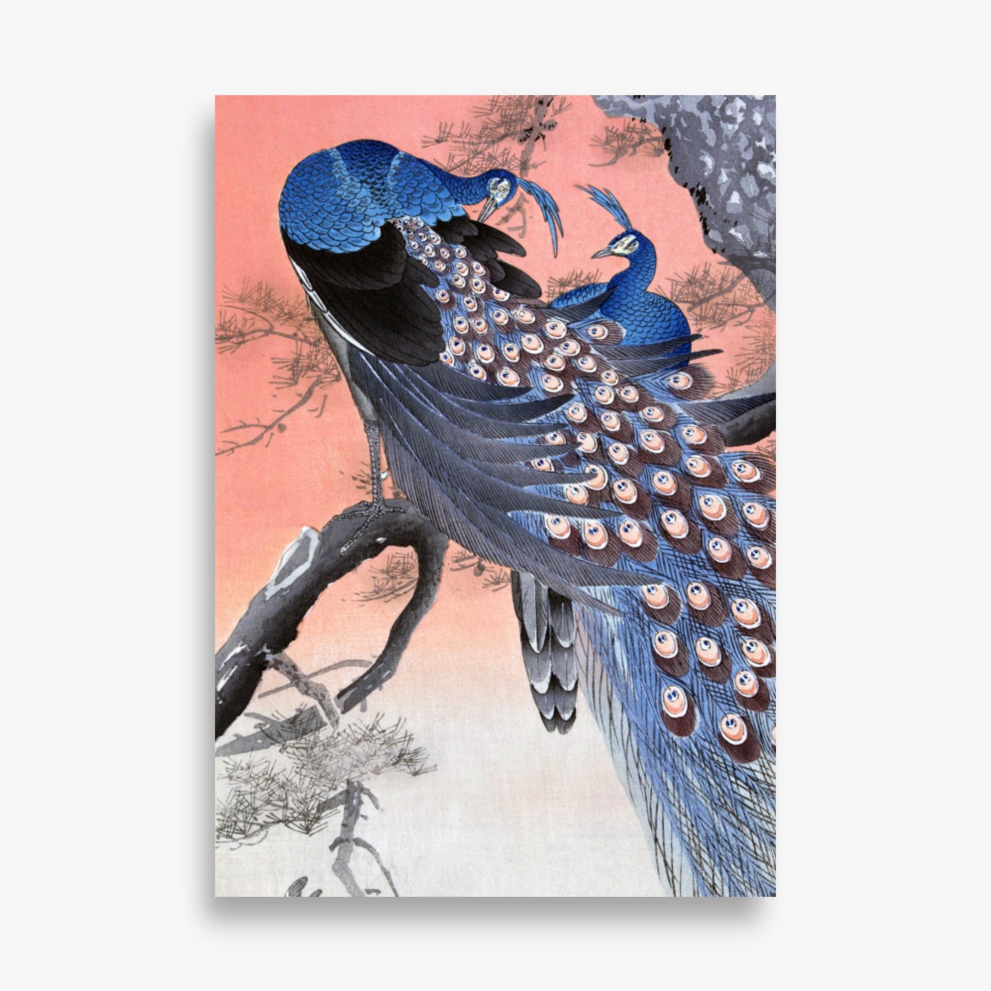 Ohara Koson - Two Peacocks on Tree Branch 70x100 cm Poster