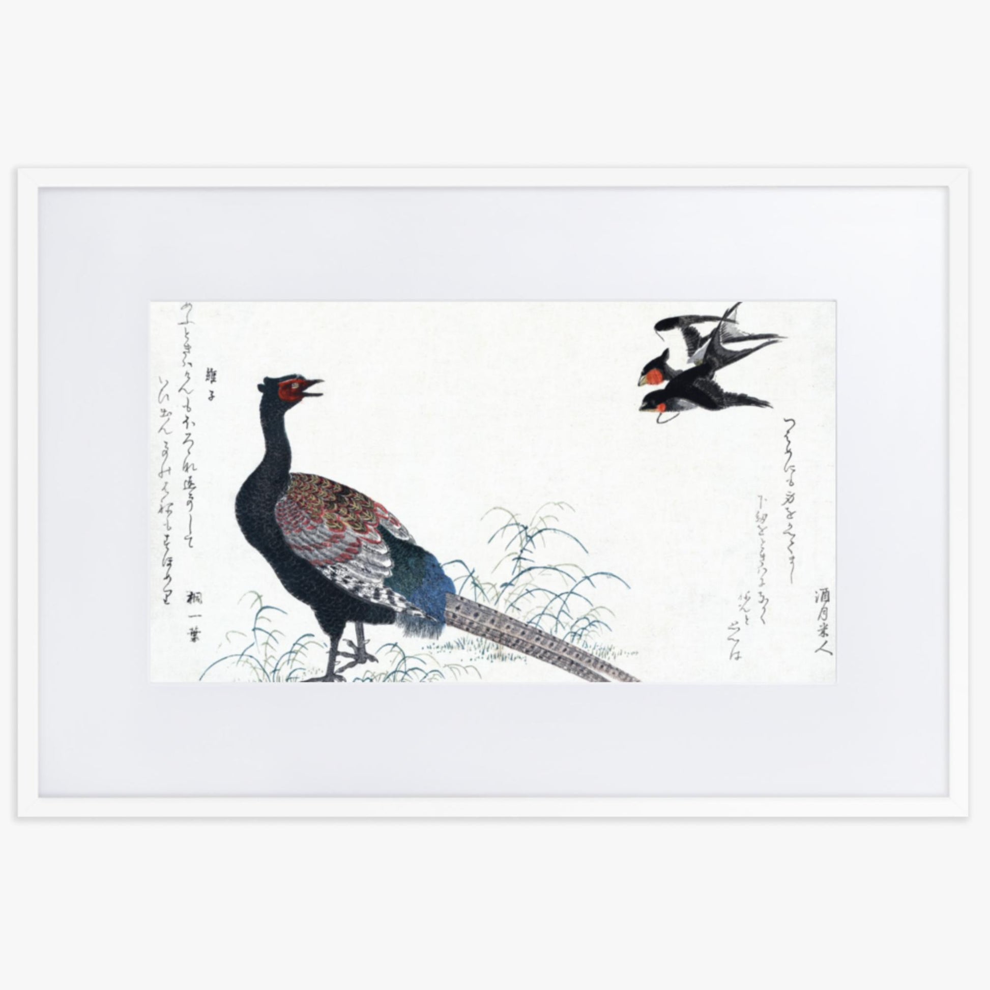 Utamaro Kitagawa - Swallows and Pheasant 61x91 cm Poster With White Frame