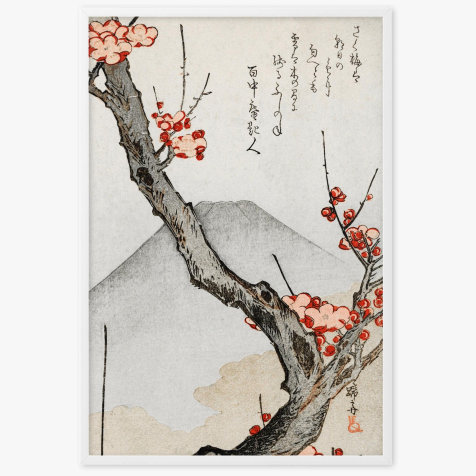 Teisai Hokuba - Mount Fuji and a Flowering Plum 61x91 cm Poster With White Frame