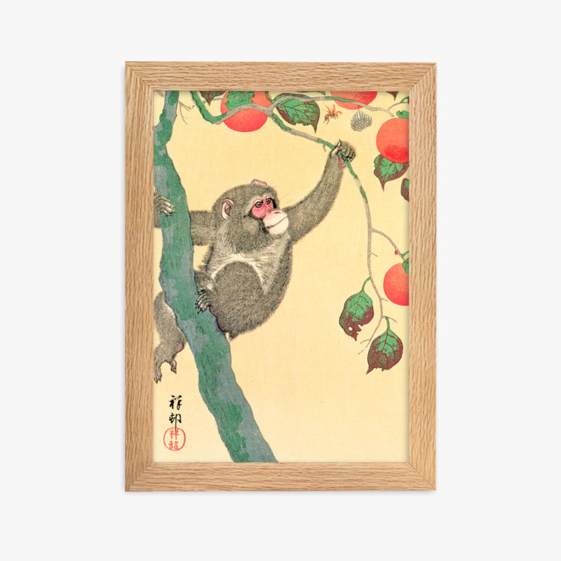 Ohara Koson: Monkey in a Persimmon - 21x30 cm Poster With Oak Frame