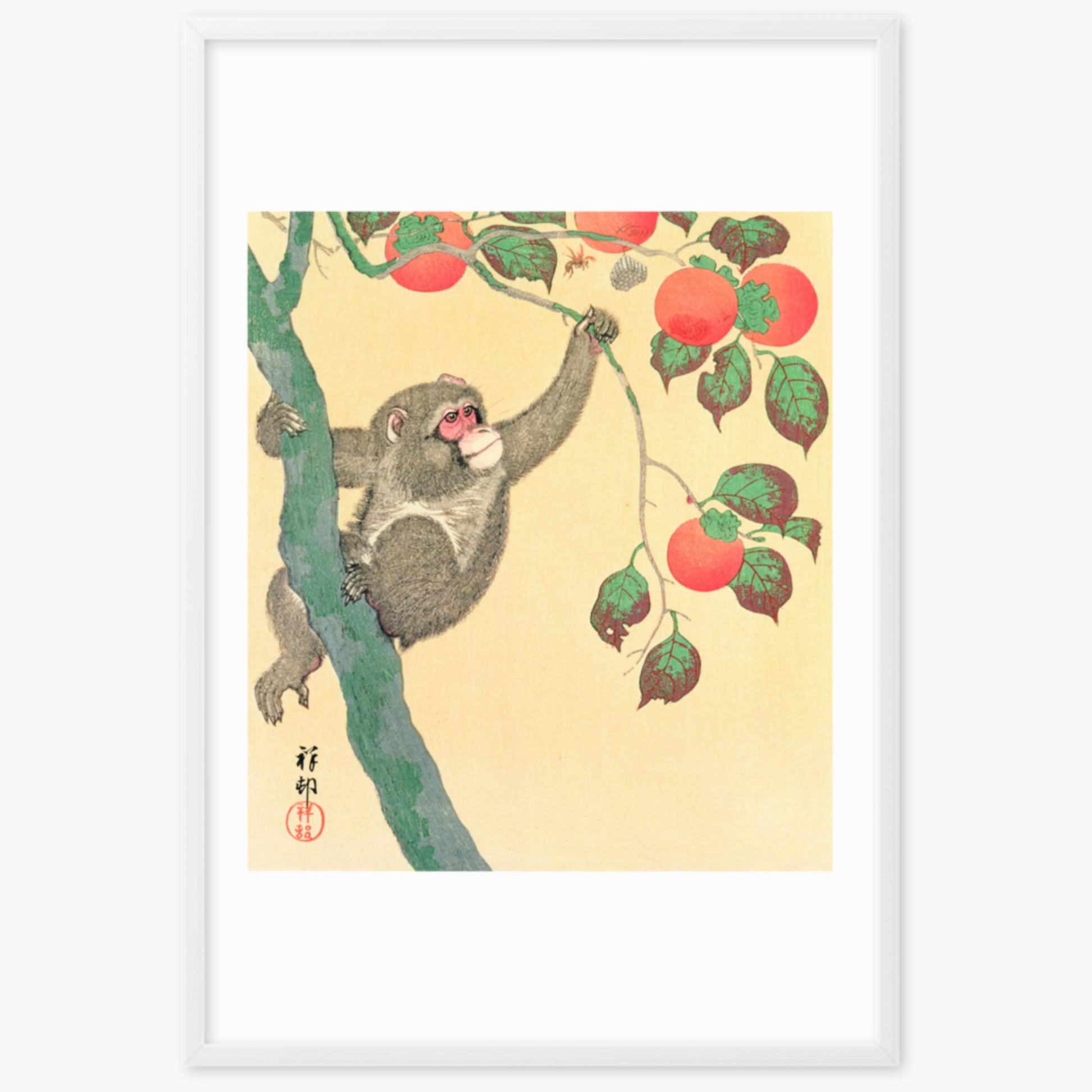 Ohara Koson: Monkey in a Persimmon - 61x91 cm Poster With White Frame