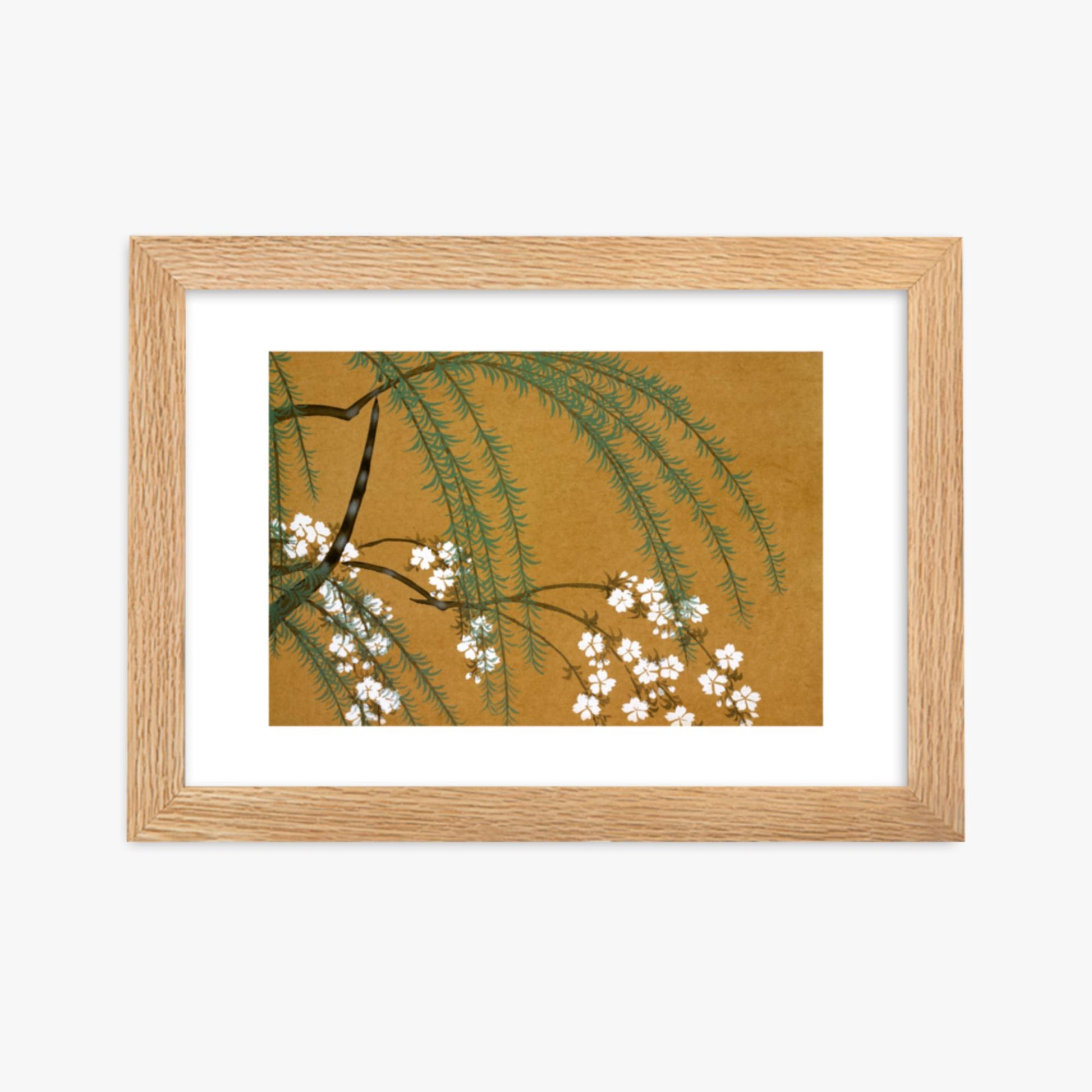 Kamisaka Sekka: Yanagi Sakura, from Momoyo-gusa - 21x30 cm Poster With Oak Frame