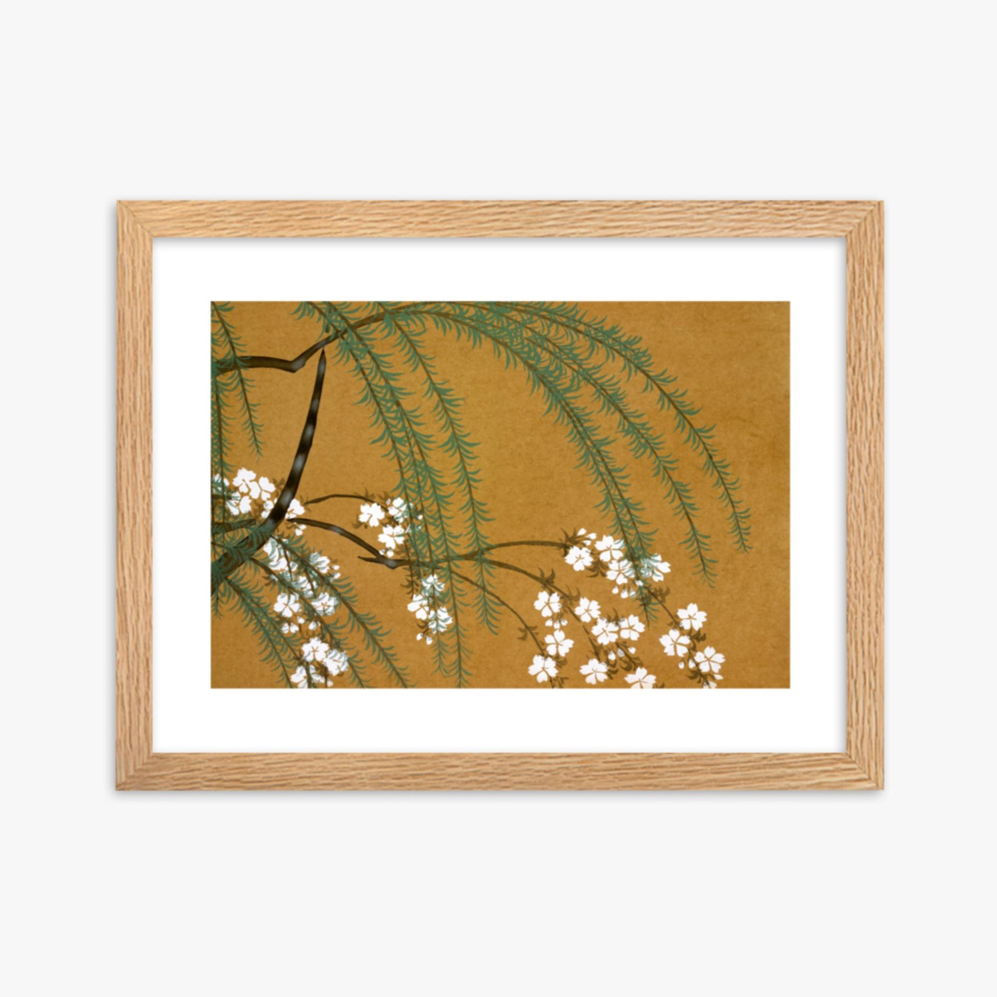 Kamisaka Sekka: Yanagi Sakura, from Momoyo-gusa - 30x40 cm Poster With Oak Frame