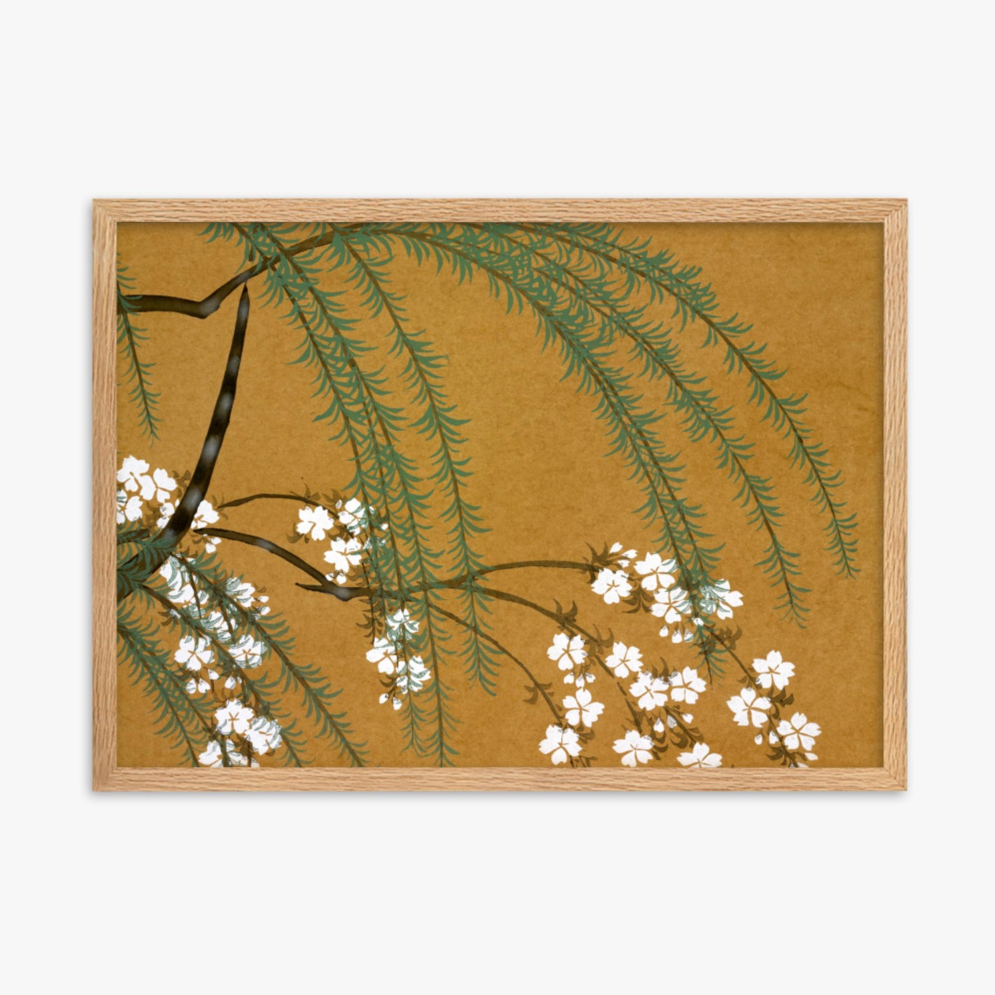 Kamisaka Sekka: Yanagi Sakura, from Momoyo-gusa - 50x70 cm Poster With Oak Frame