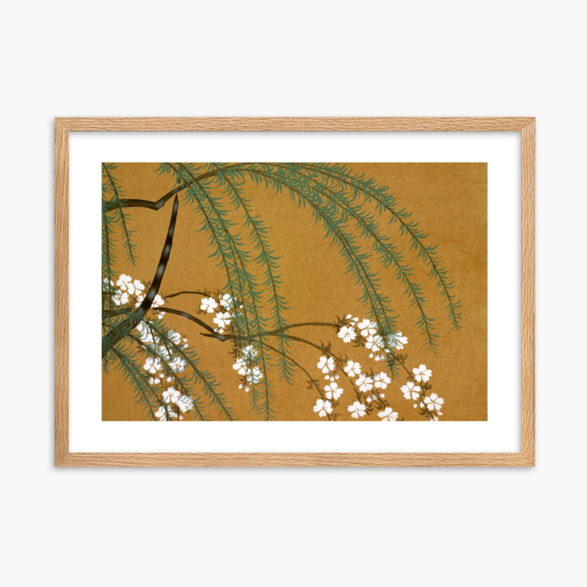 Kamisaka Sekka: Yanagi Sakura, from Momoyo-gusa - 50x70 cm Poster With Oak Frame