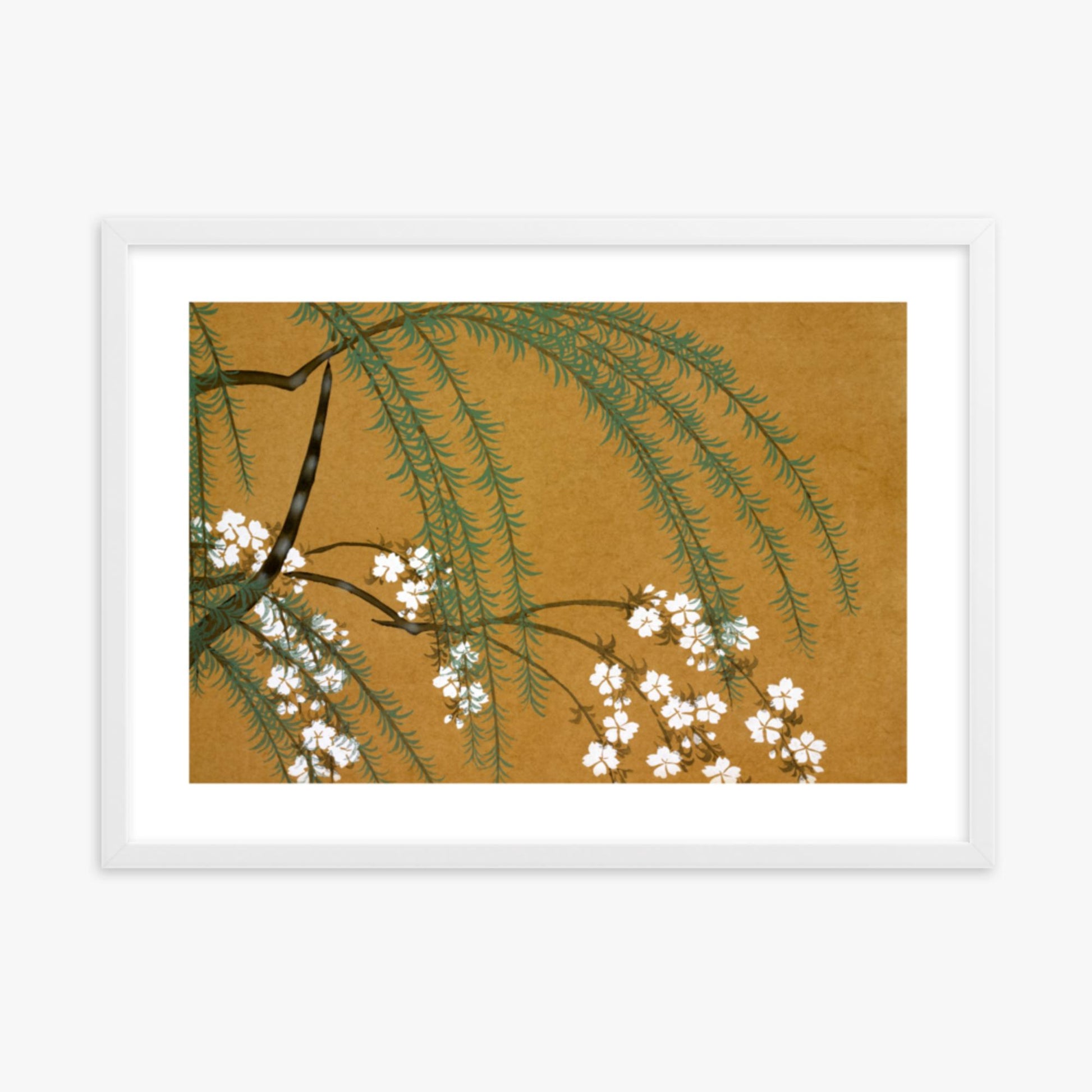 Kamisaka Sekka: Yanagi Sakura, from Momoyo-gusa - 50x70 cm Poster With White Frame