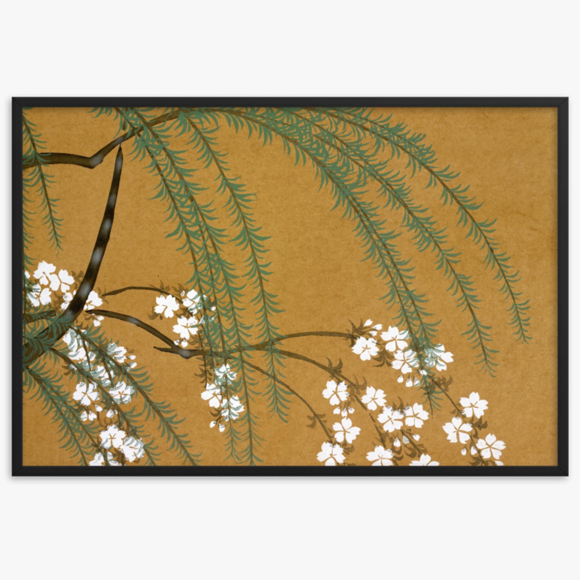 Kamisaka Sekka: Yanagi Sakura, from Momoyo-gusa - 61x91 cm Poster With Black Frame