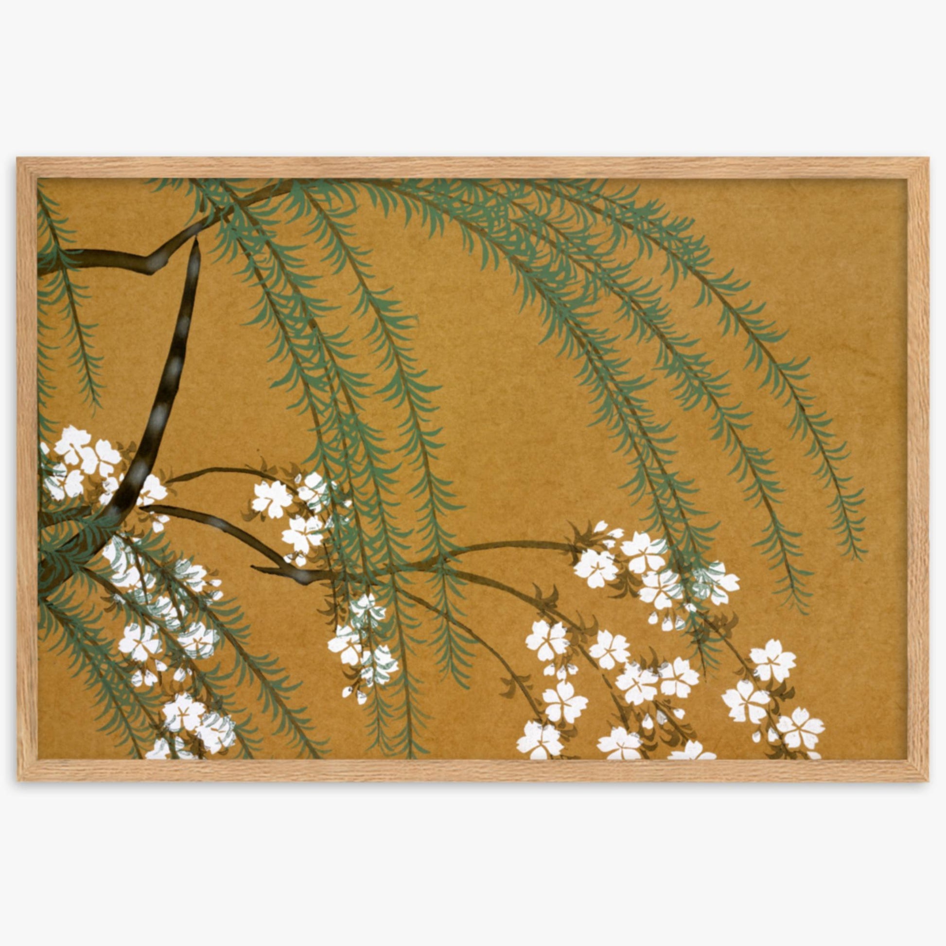 Kamisaka Sekka: Yanagi Sakura, from Momoyo-gusa - 61x91 cm Poster With Oak Frame