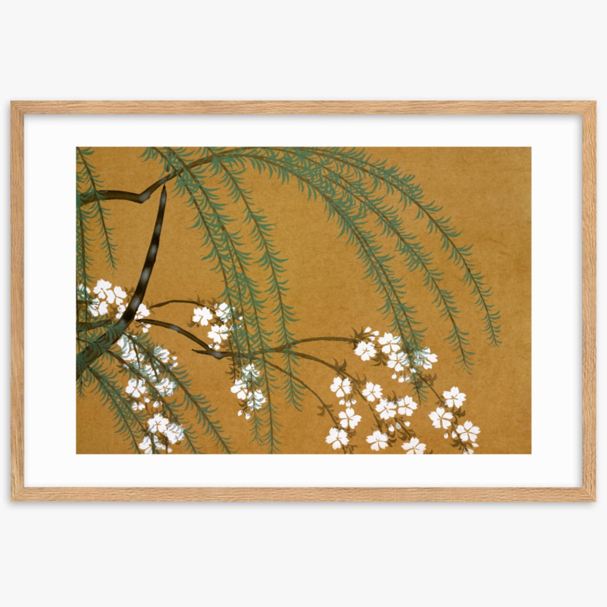 Kamisaka Sekka: Yanagi Sakura, from Momoyo-gusa - 61x91 cm Poster With Oak Frame