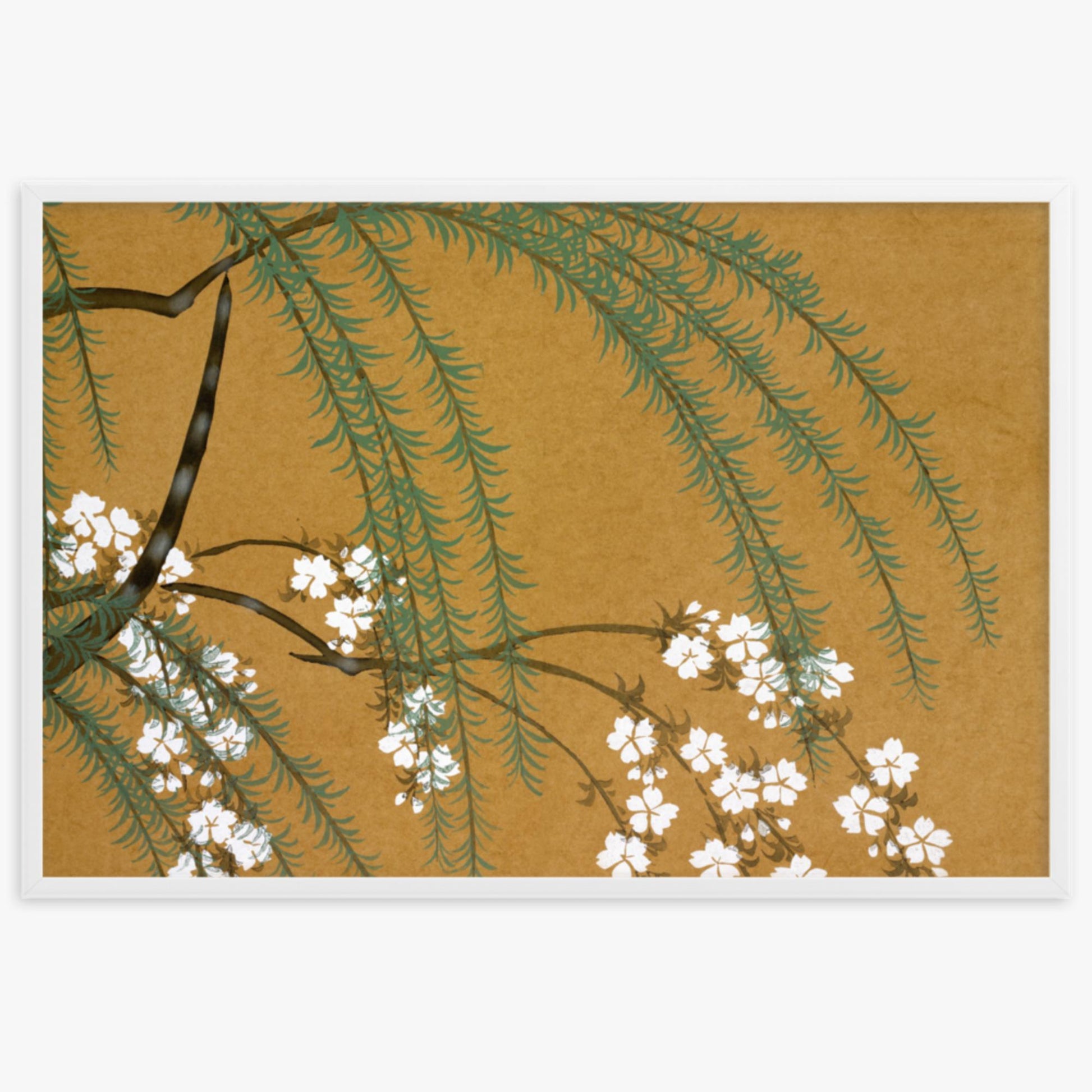 Kamisaka Sekka: Yanagi Sakura, from Momoyo-gusa - 61x91 cm Poster With White Frame