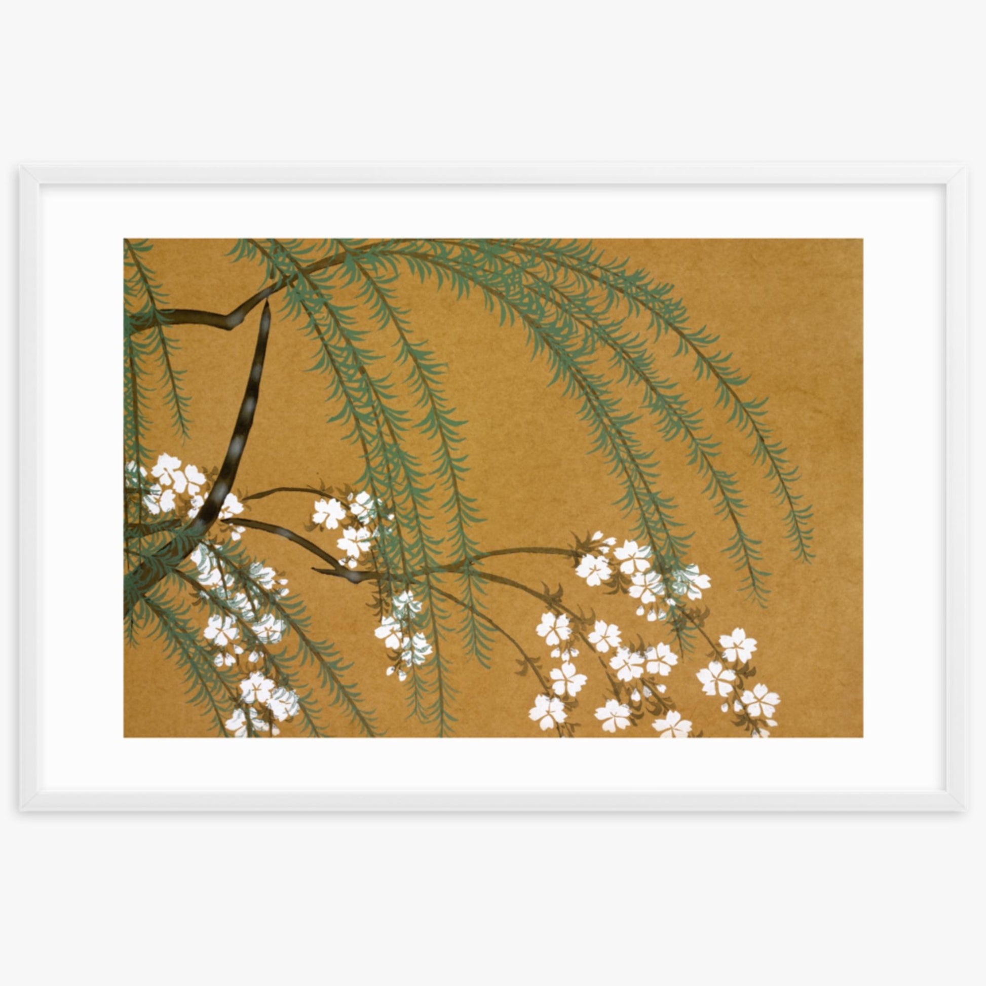 Kamisaka Sekka: Yanagi Sakura, from Momoyo-gusa - 61x91 cm Poster With White Frame