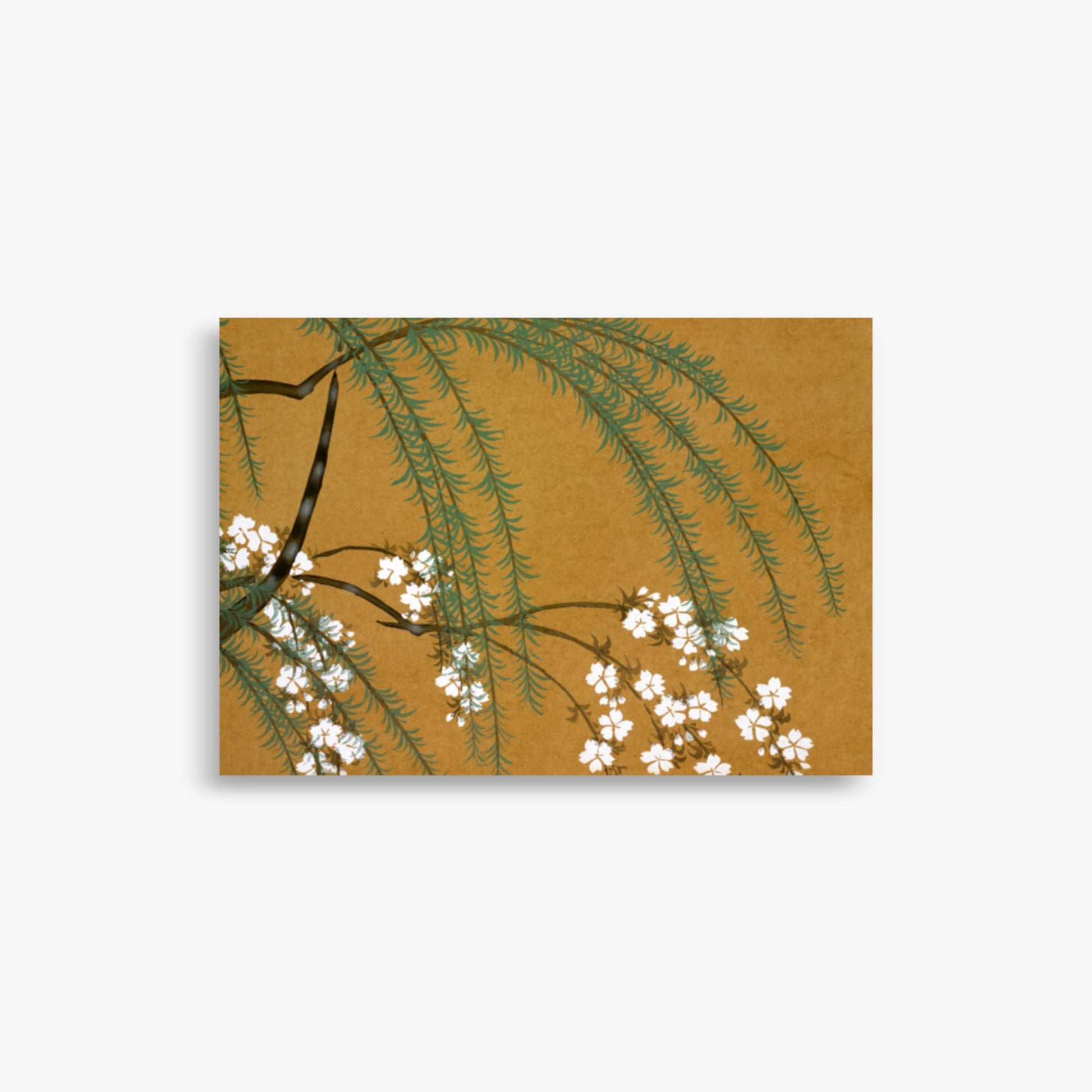 Kamisaka Sekka: Yanagi Sakura, from Momoyo-gusa - 21x30 cm Poster