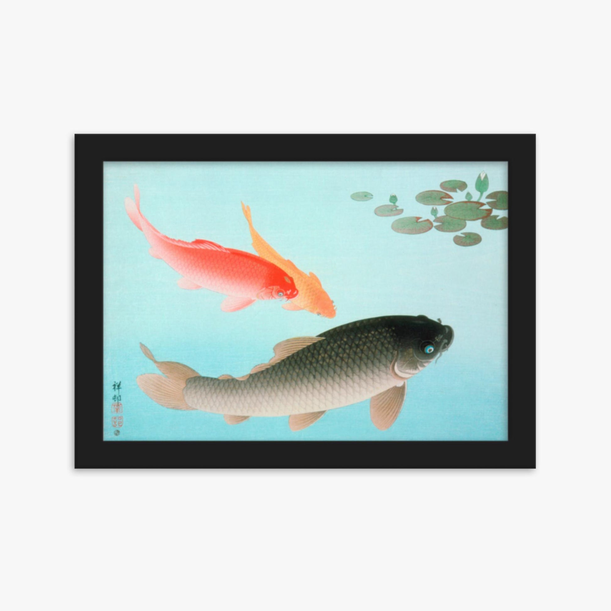 Ohara Koson - Common and Golden Carp 21x30 cm Poster With Black Frame