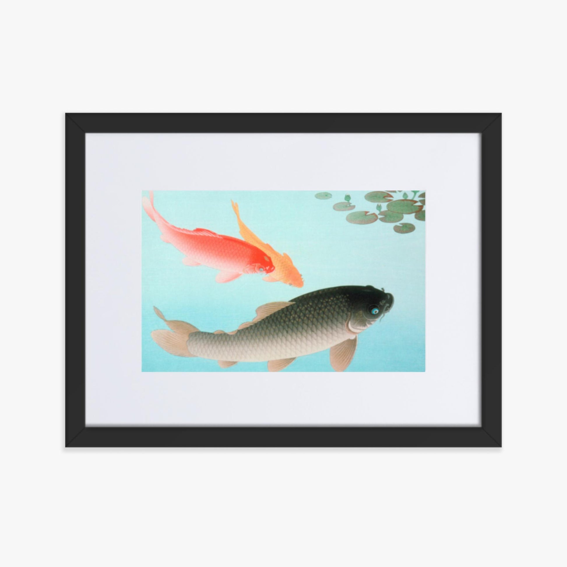 Ohara Koson - Common and Golden Carp 30x40 cm Poster With Black Frame