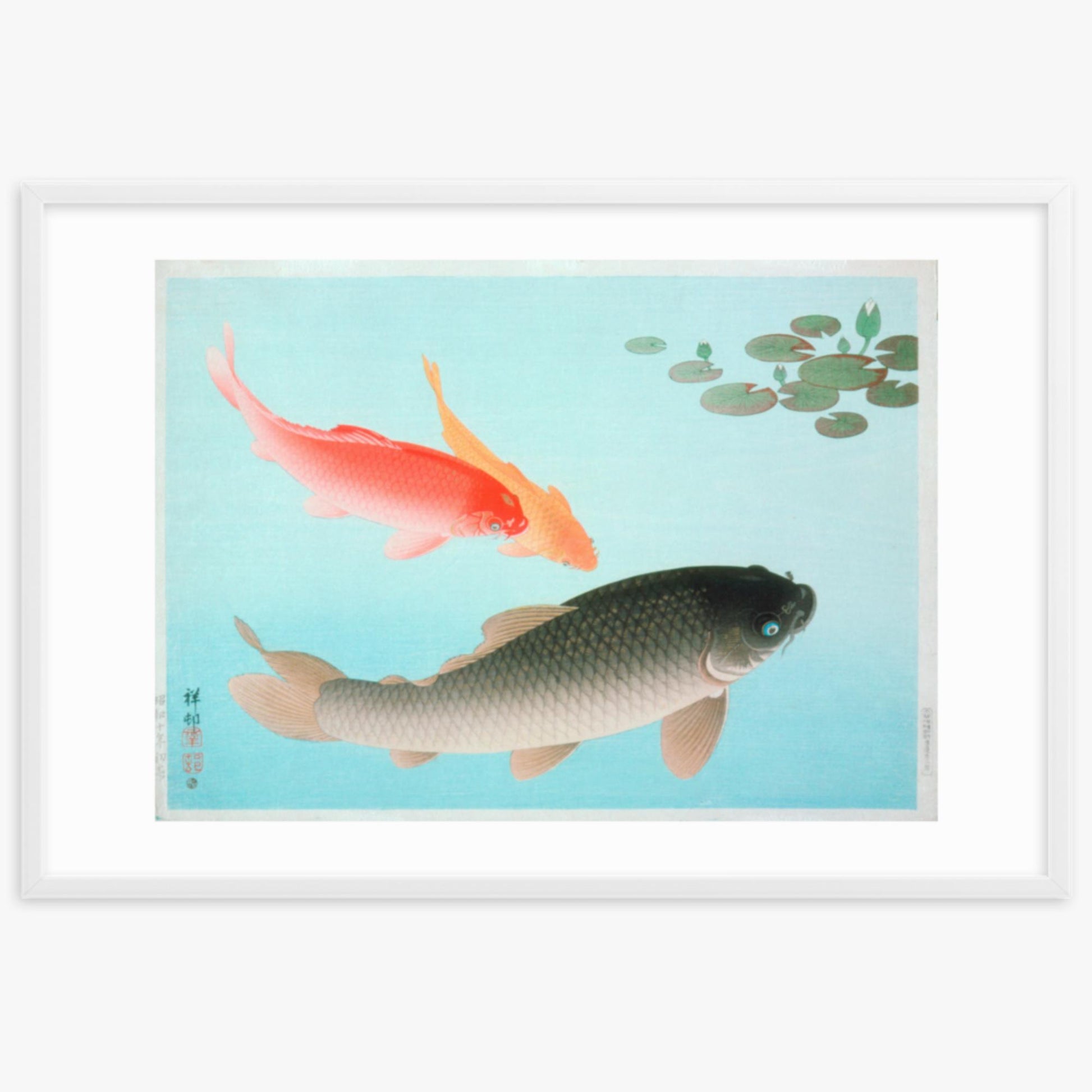 Ohara Koson - Common and Golden Carp 61x91 cm Poster With White Frame