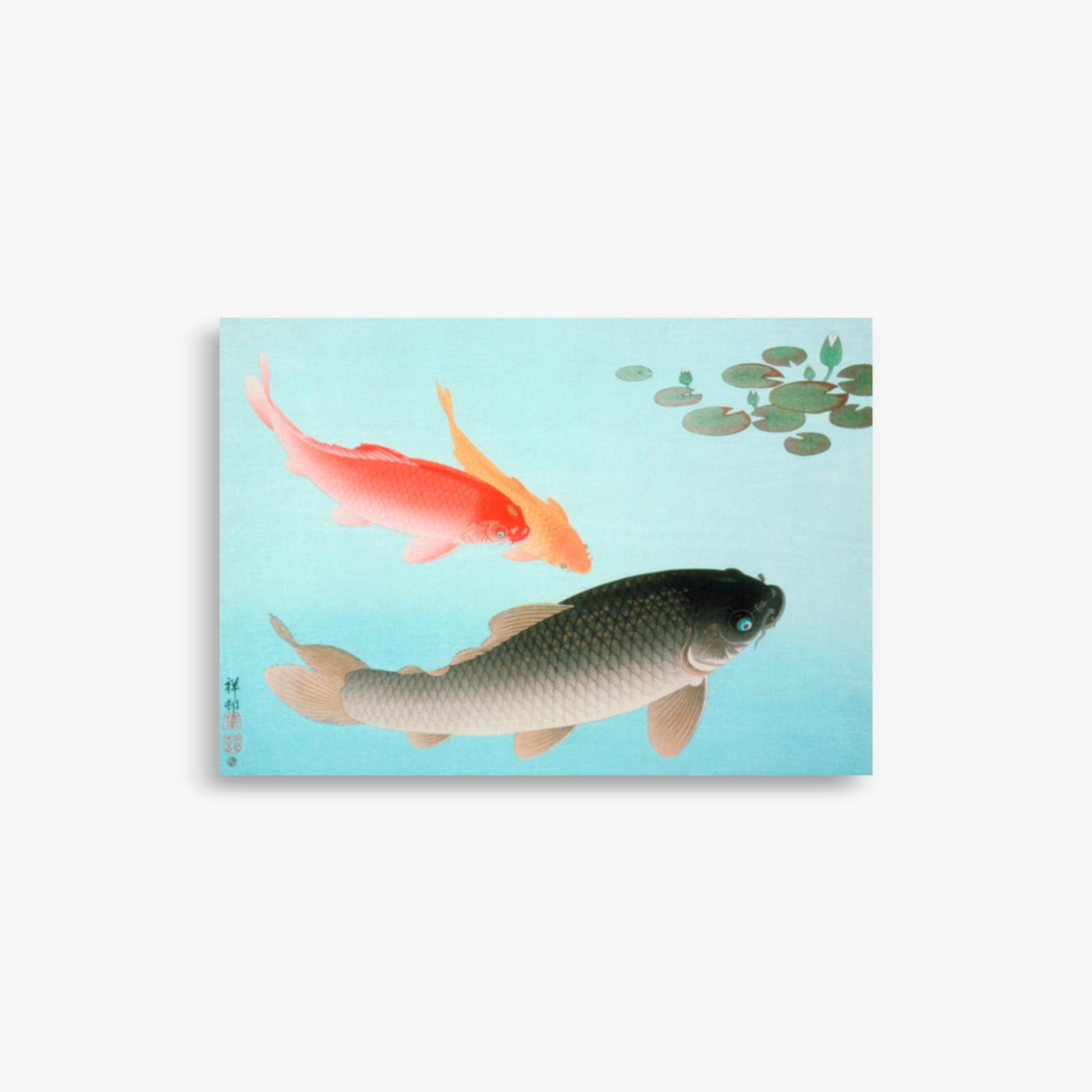 Ohara Koson - Common and Golden Carp 21x30 cm Poster