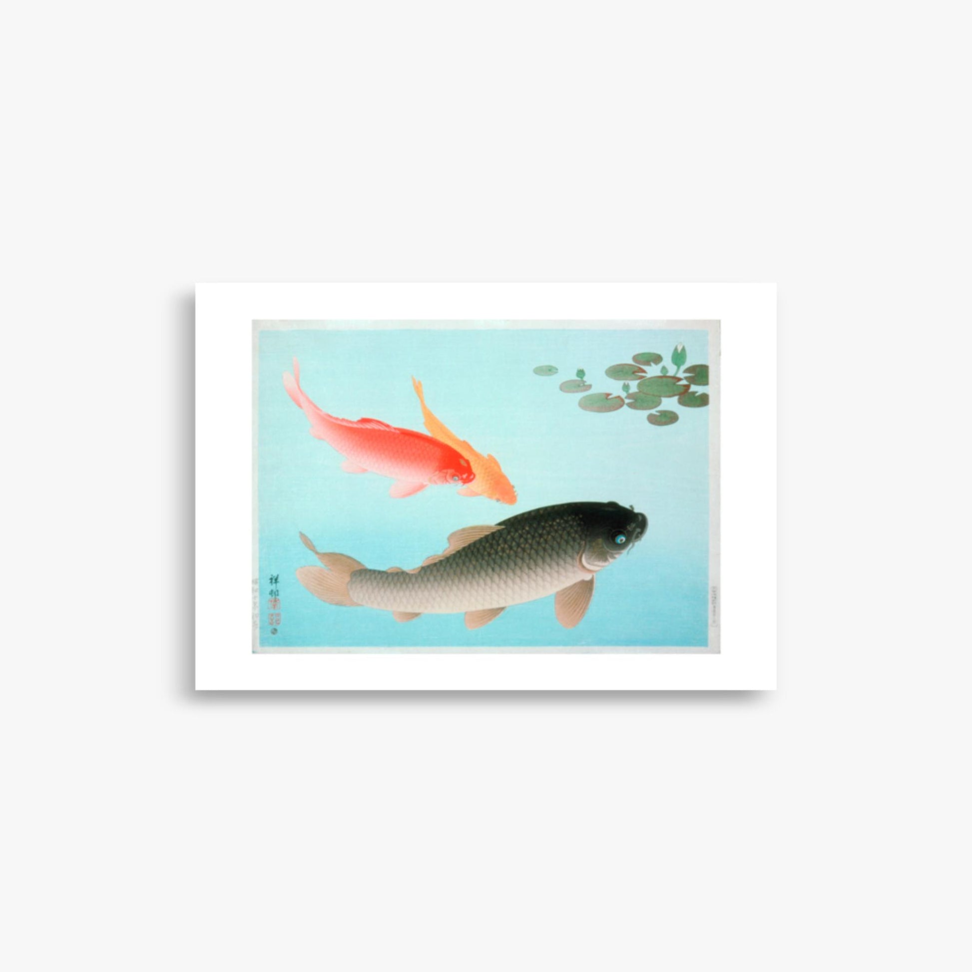 Ohara Koson - Common and Golden Carp 21x30 cm Poster