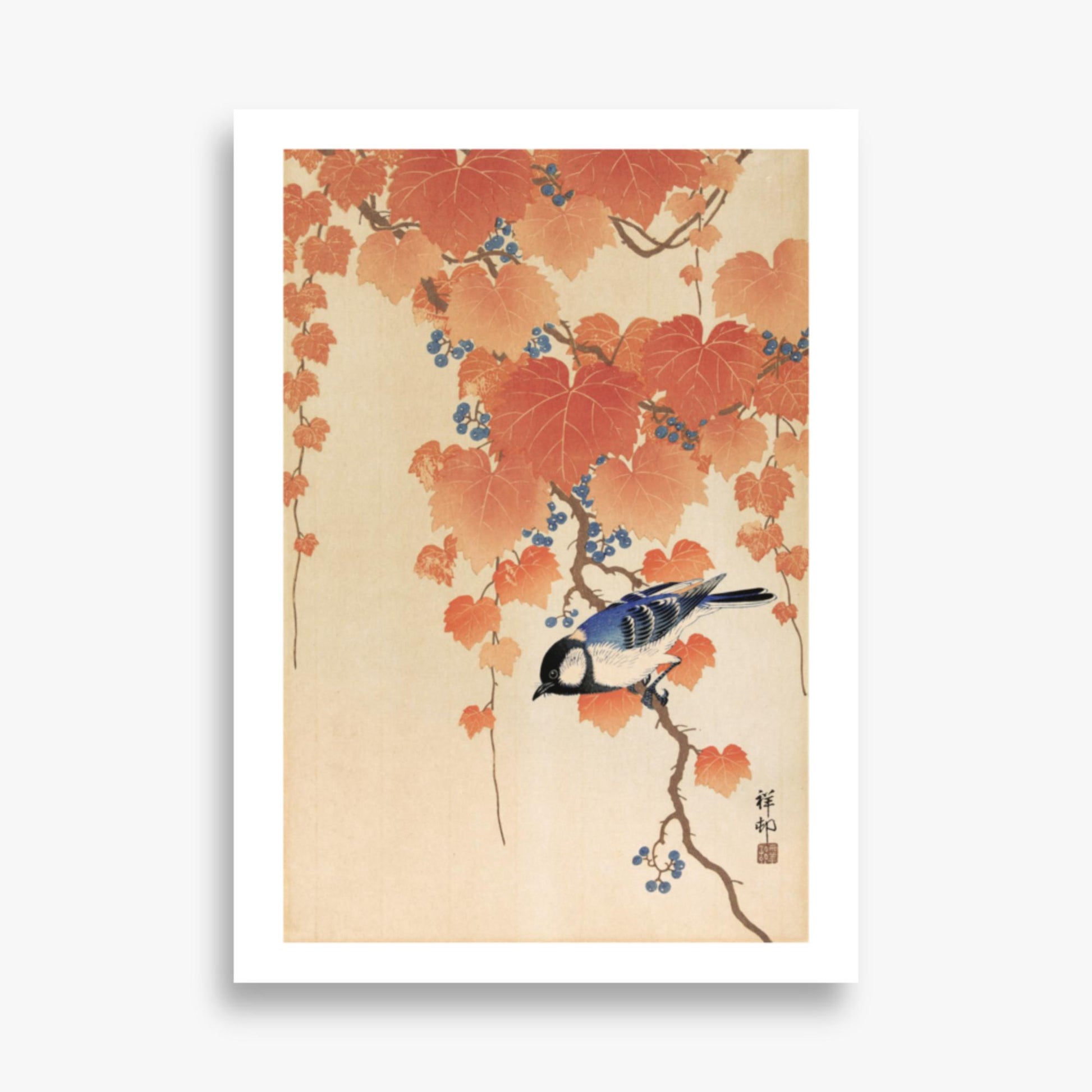 Ohara Koson - Great tit on paulownia branch 50x70 cm Poster