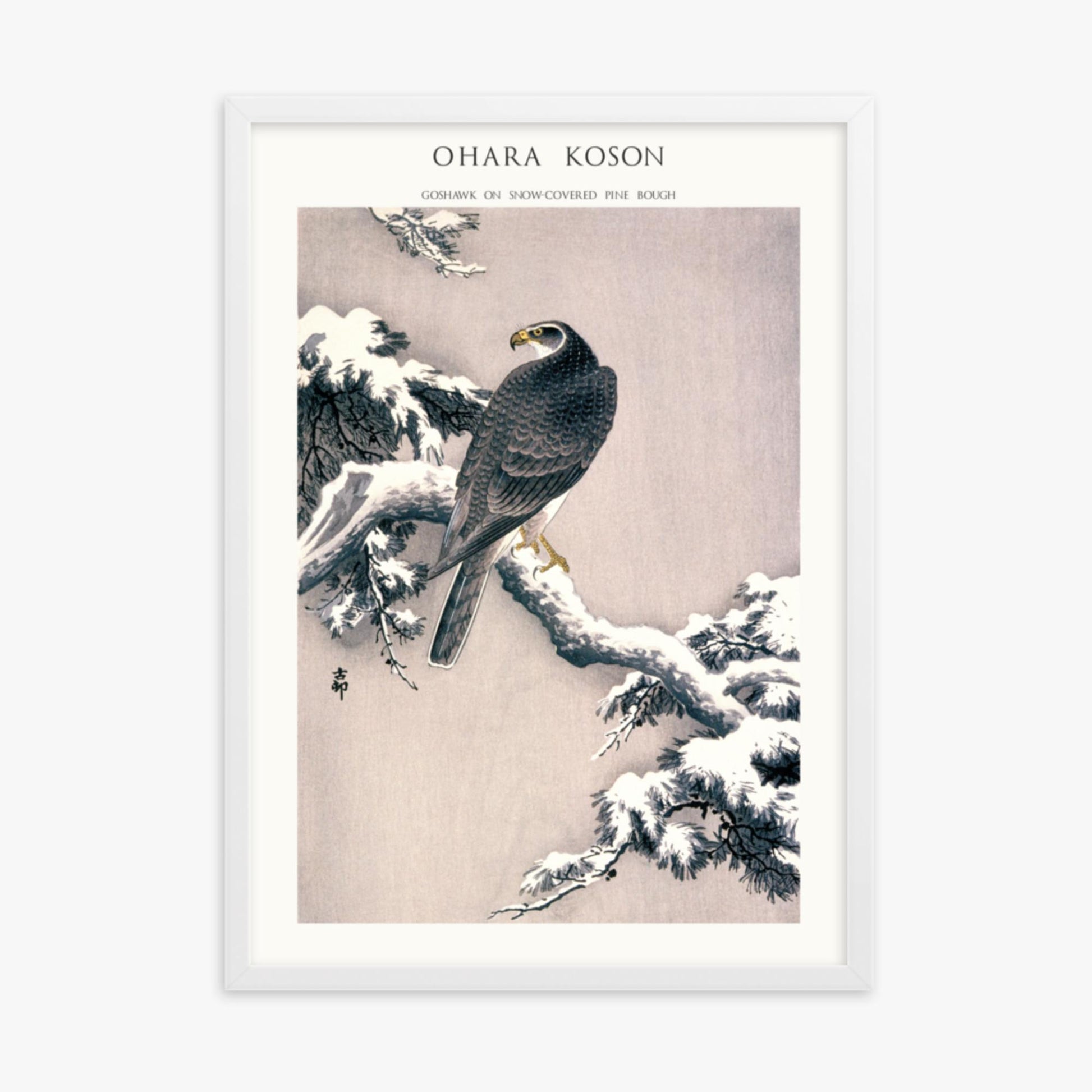 Ohara Koson - Goshawk on Snow-covered Pine Bough  - Decoration 50x70 cm Poster With White Frame