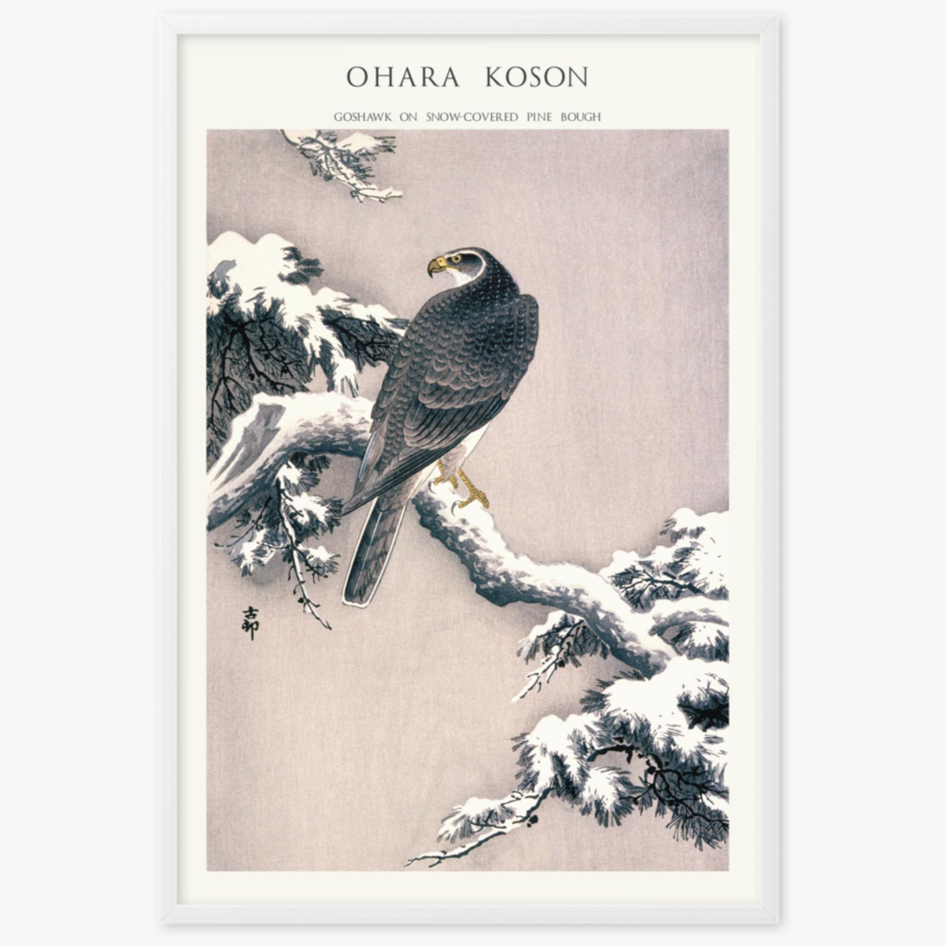 Ohara Koson - Goshawk on Snow-covered Pine Bough  - Decoration 61x91 cm Poster With White Frame