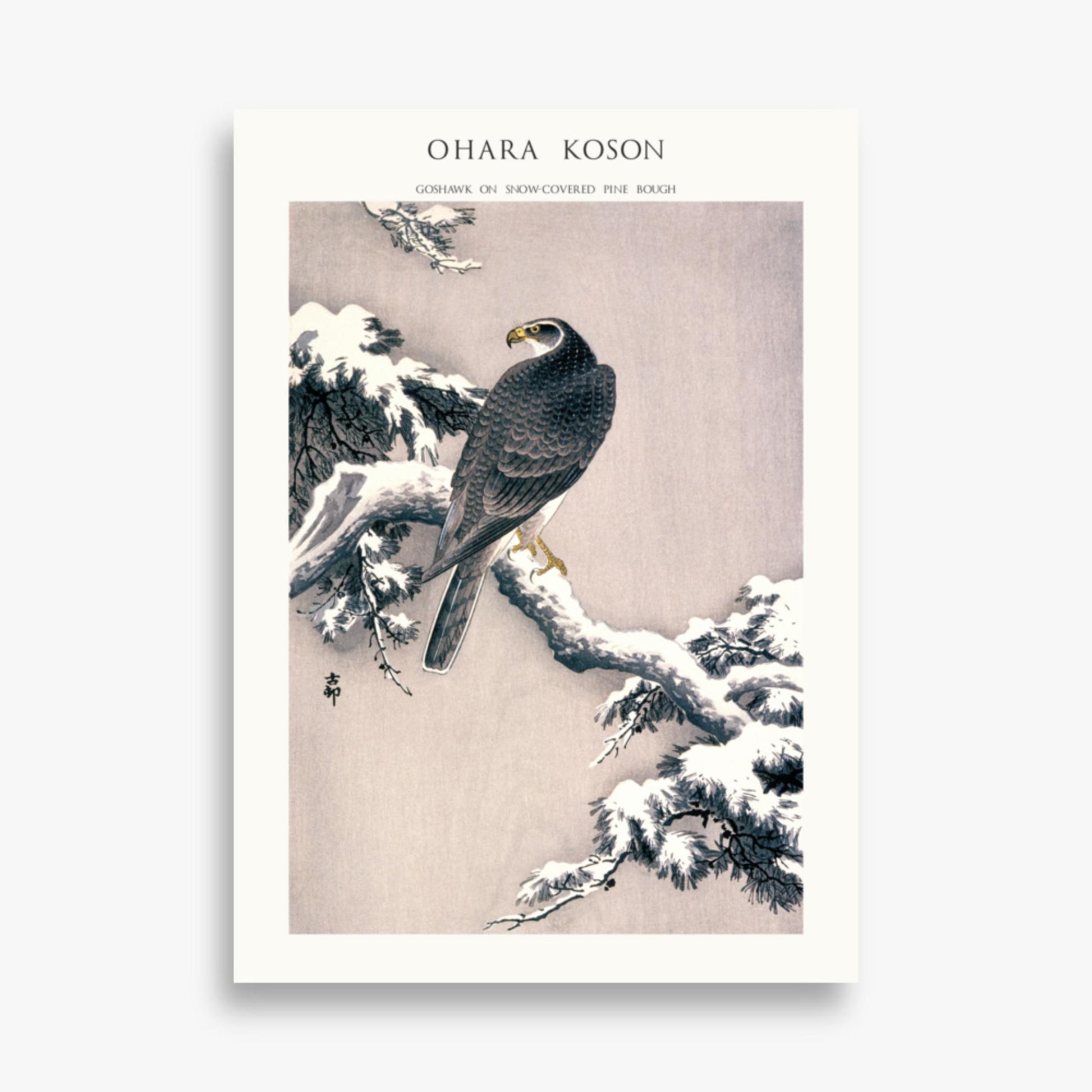 Ohara Koson - Goshawk on Snow-covered Pine Bough  - Decoration 50x70 cm Poster