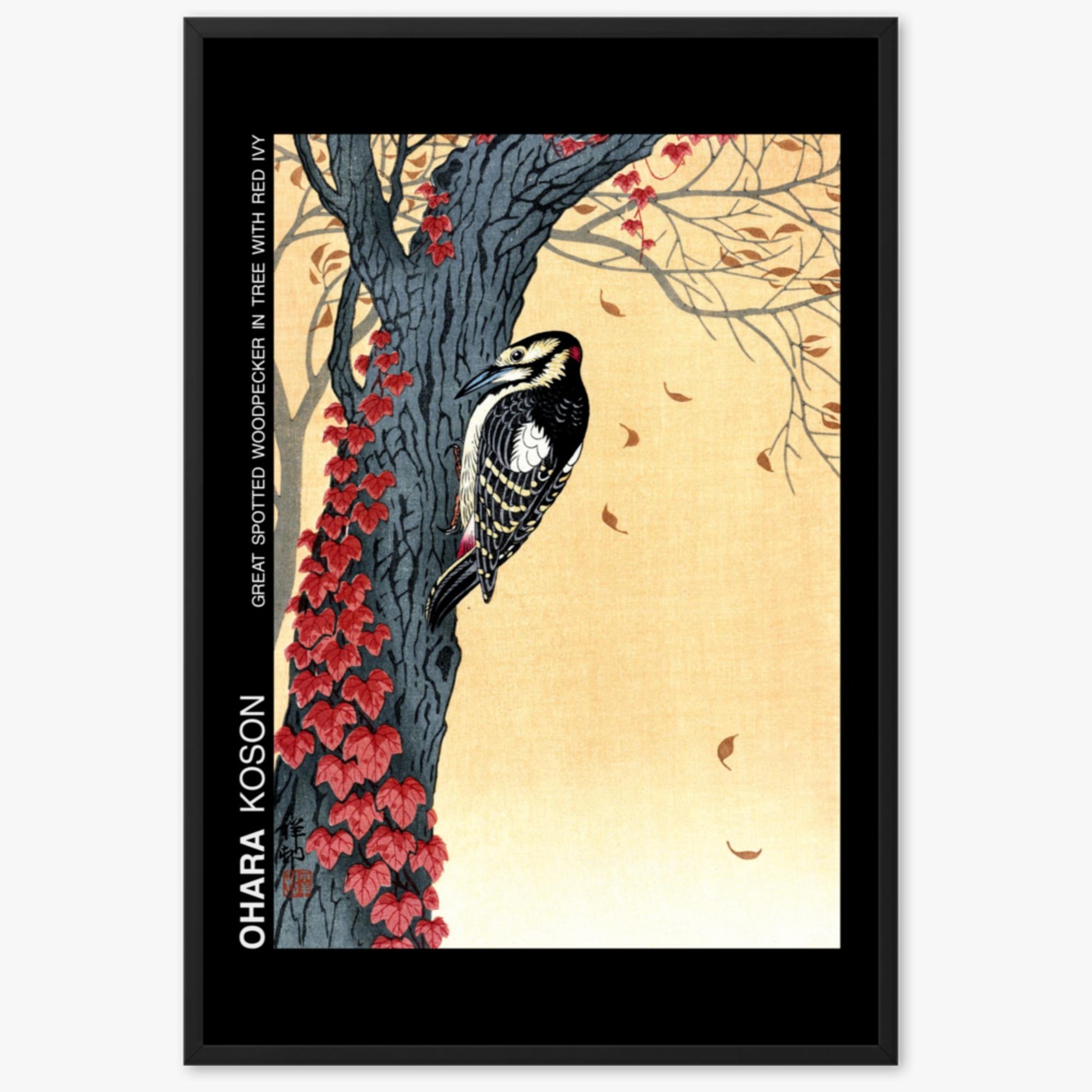 Ohara Koson - Great spotted woodpecker in tree with red ivy - Decoration 61x91 cm Poster With Black Frame