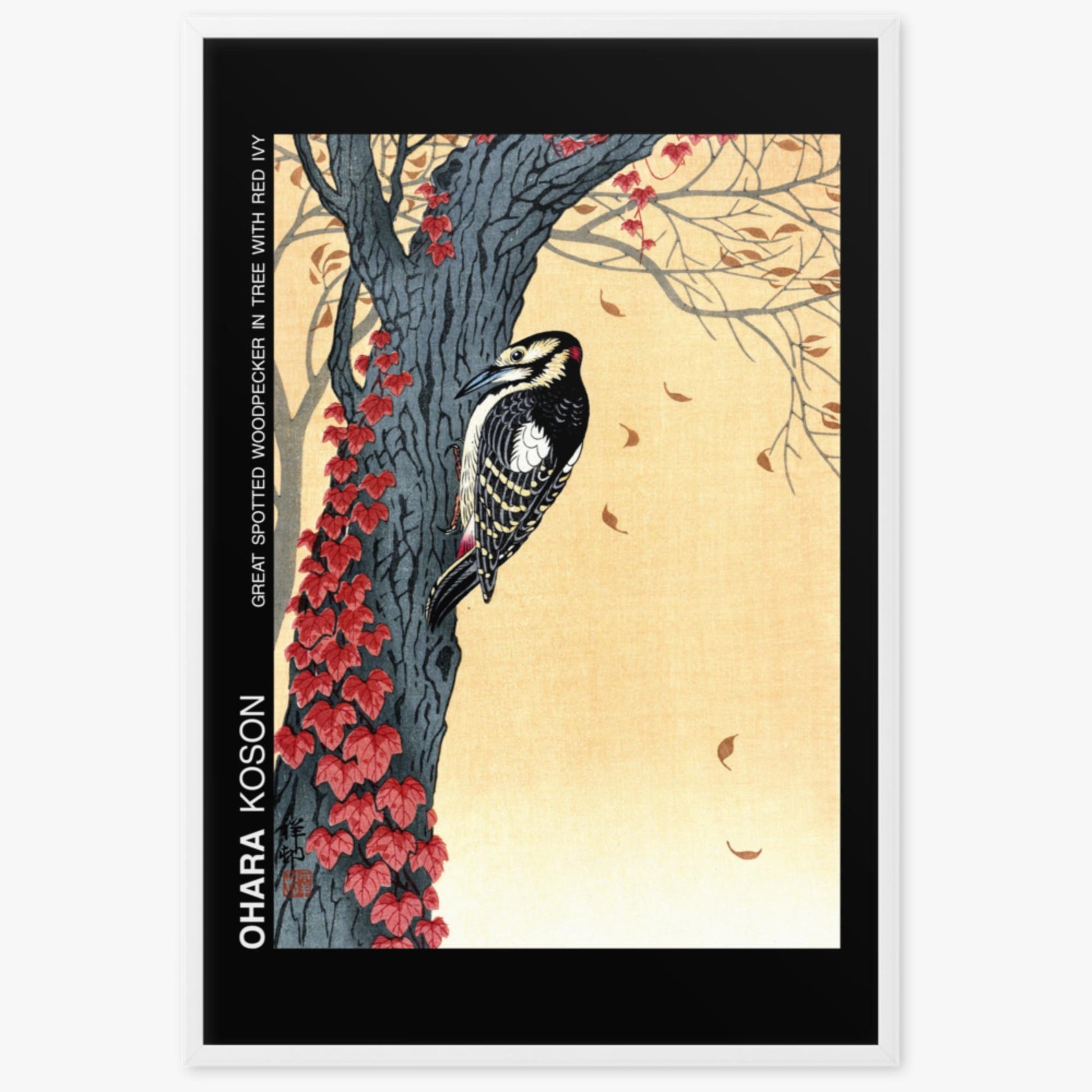 Ohara Koson - Great spotted woodpecker in tree with red ivy - Decoration 61x91 cm Poster With White Frame