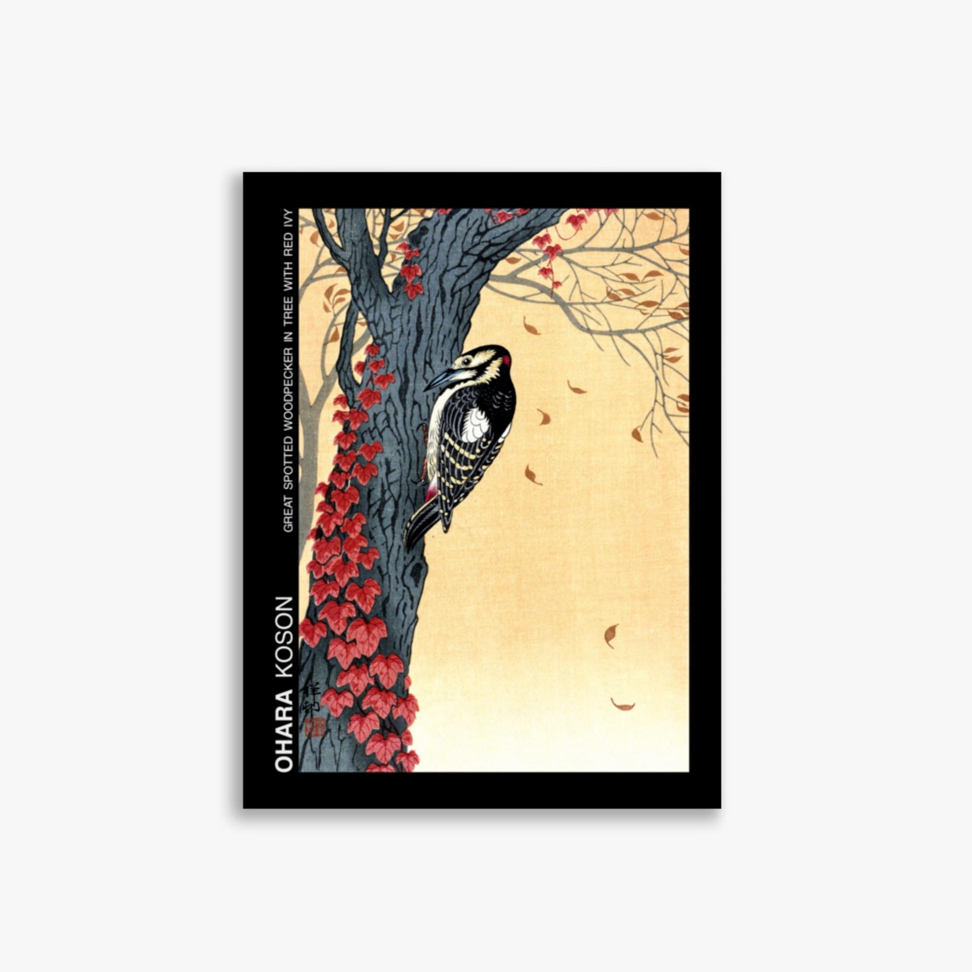 Ohara Koson - Great spotted woodpecker in tree with red ivy - Decoration 30x40 cm Poster