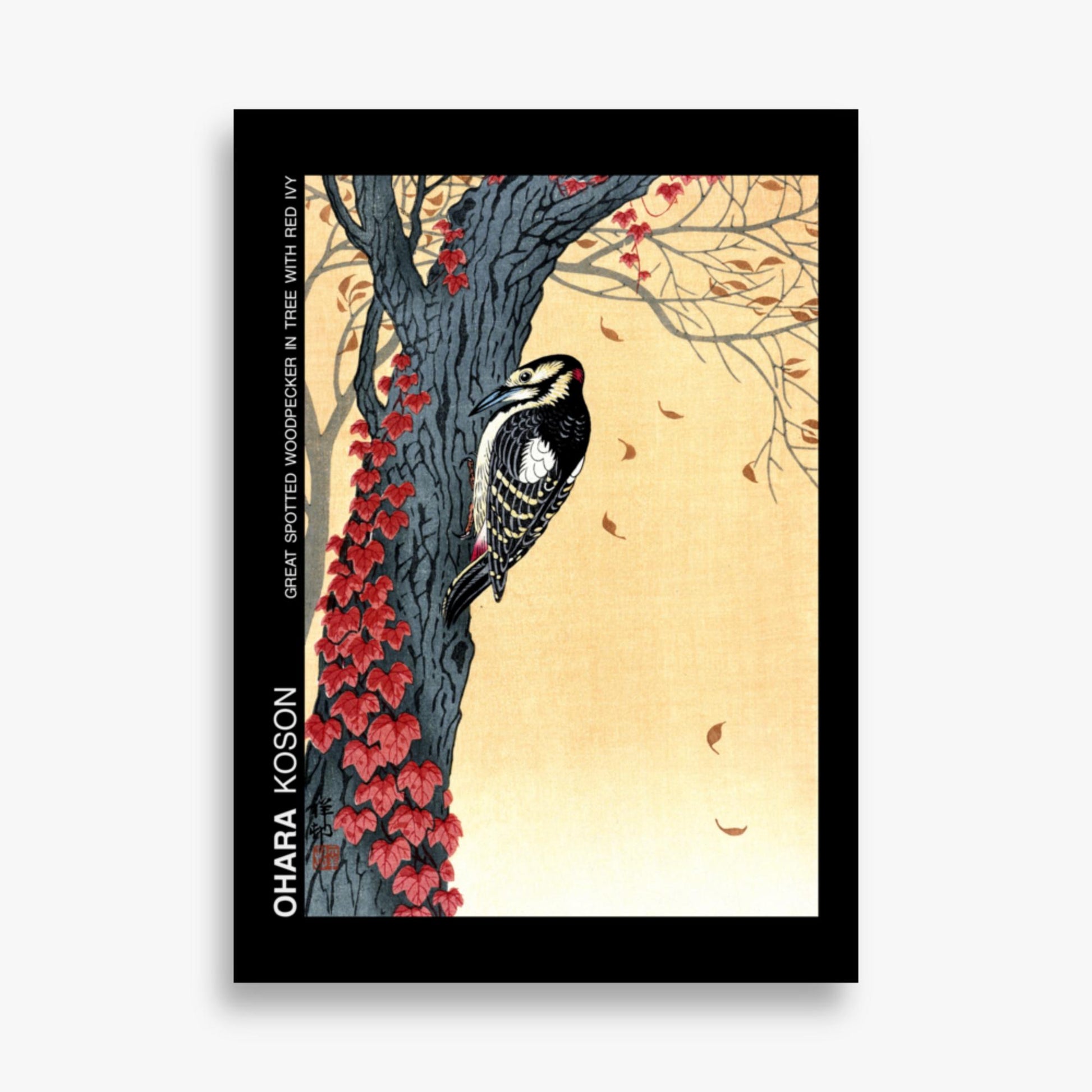 Ohara Koson - Great spotted woodpecker in tree with red ivy - Decoration 50x70 cm Poster