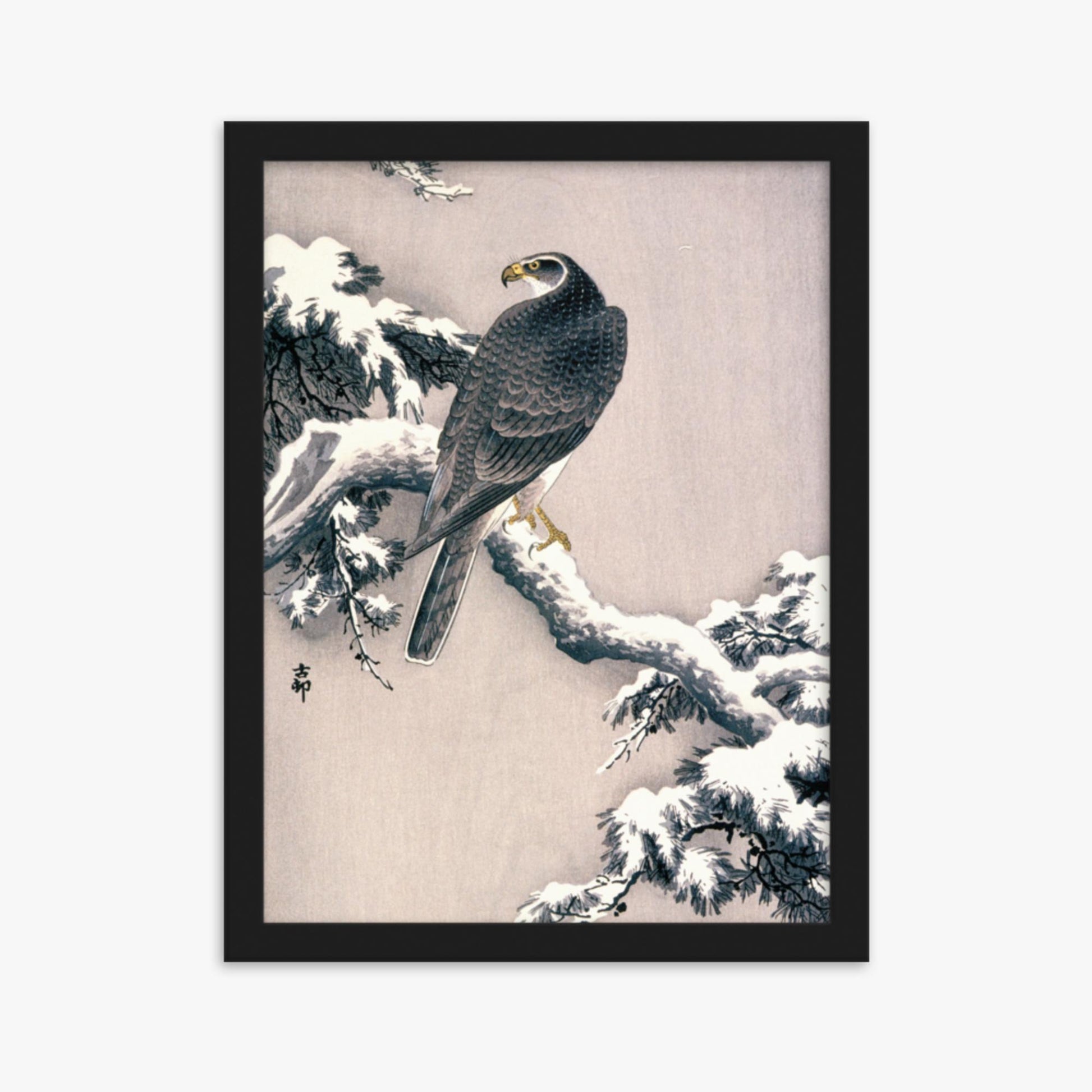 Ohara Koson - Goshawk on Snow-covered Pine Bough  30x40 cm Poster With Black Frame