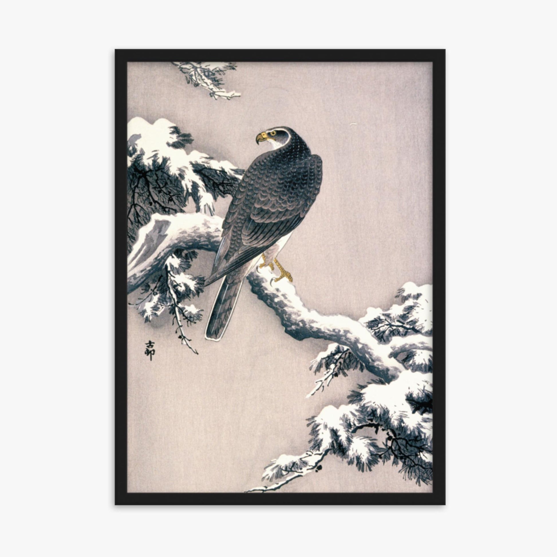 Ohara Koson - Goshawk on Snow-covered Pine Bough  50x70 cm Poster With Black Frame