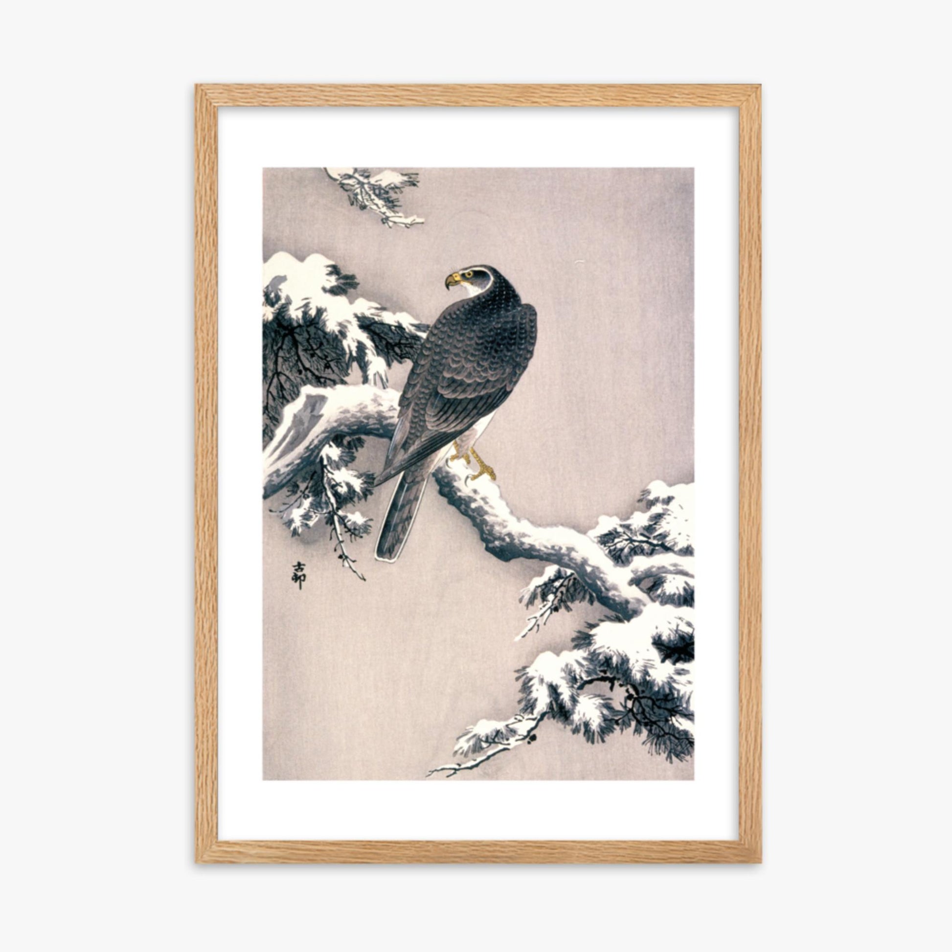 Ohara Koson - Goshawk on Snow-covered Pine Bough  50x70 cm Poster With Oak Frame