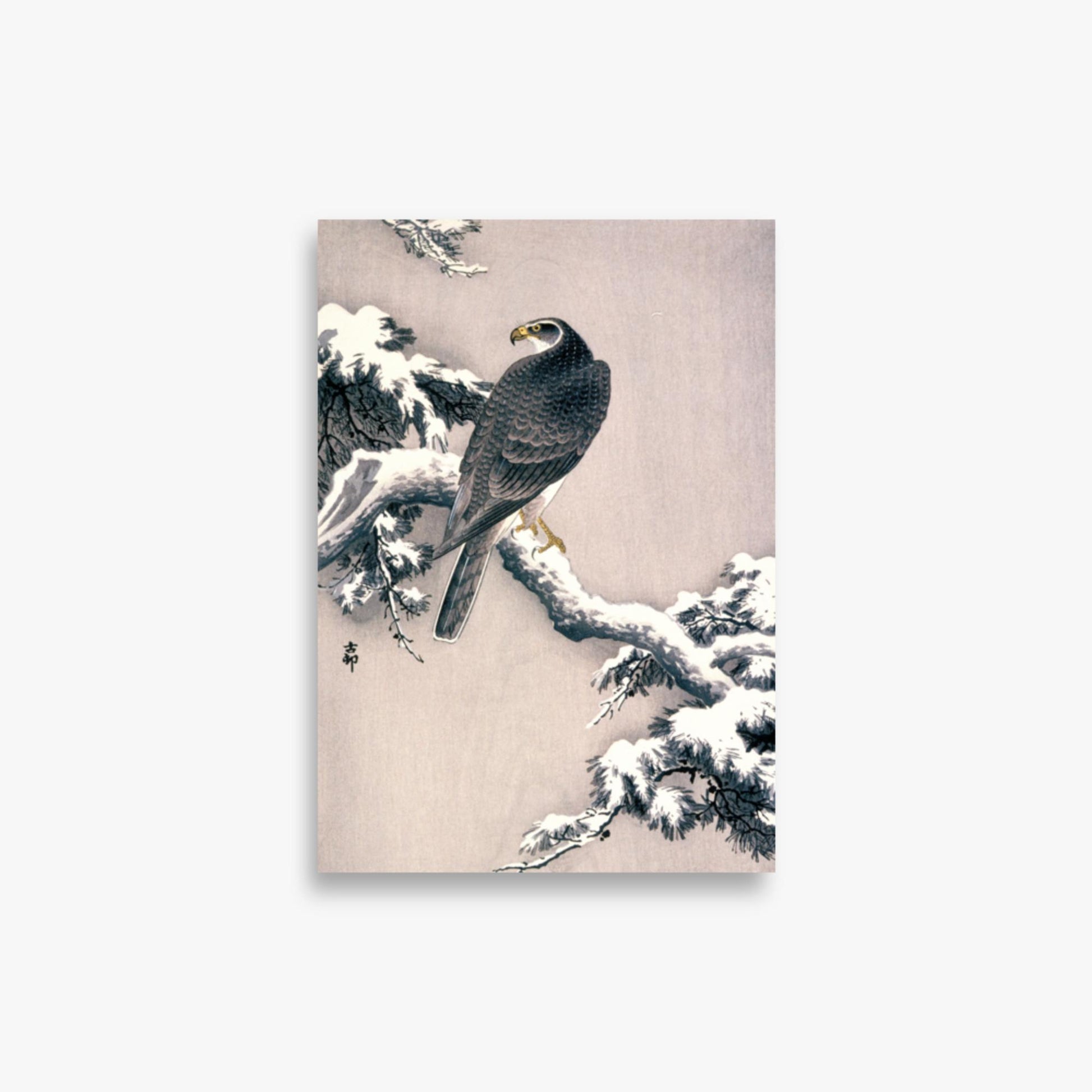 Ohara Koson - Goshawk on Snow-covered Pine Bough  21x30 cm Poster