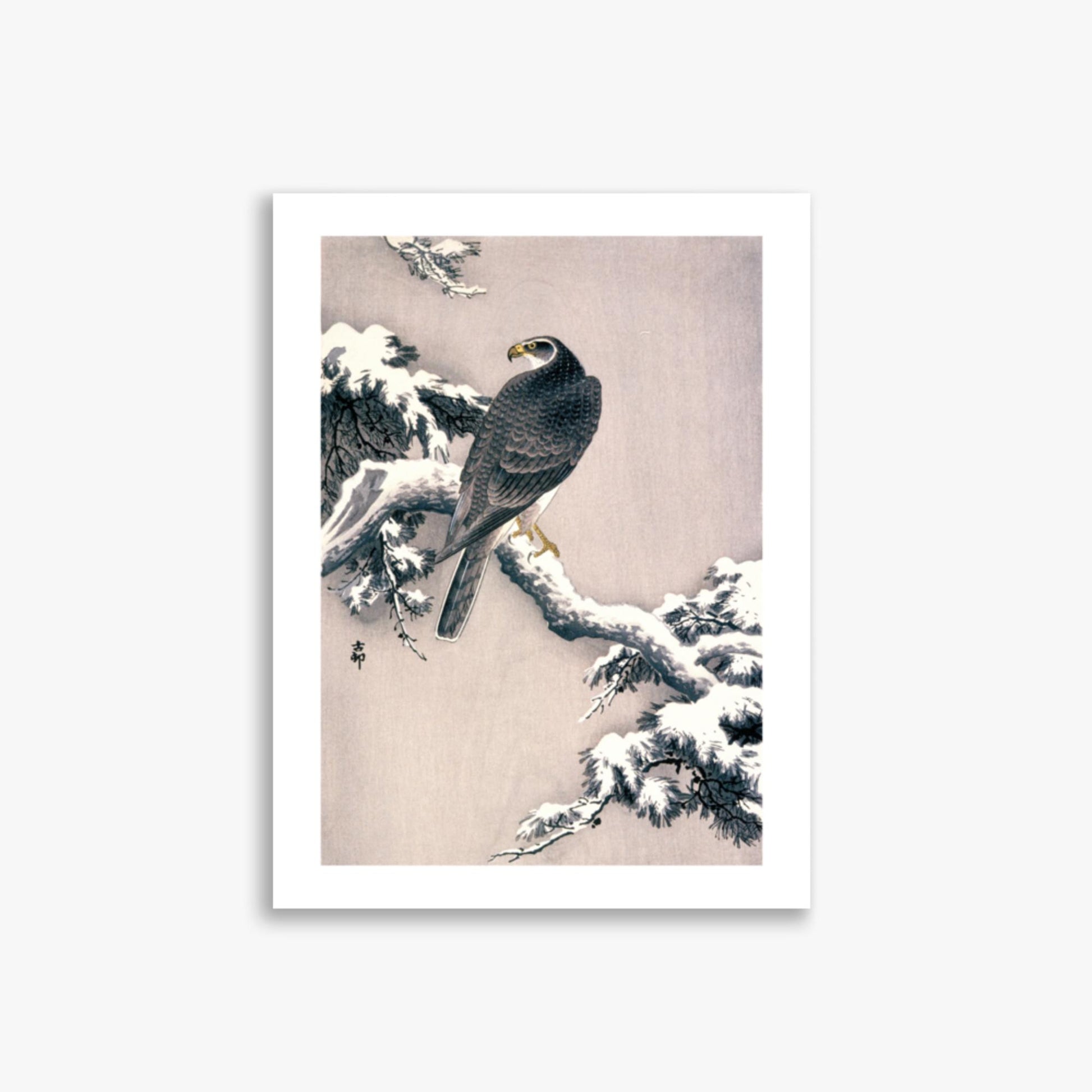 Ohara Koson - Goshawk on Snow-covered Pine Bough  30x40 cm Poster