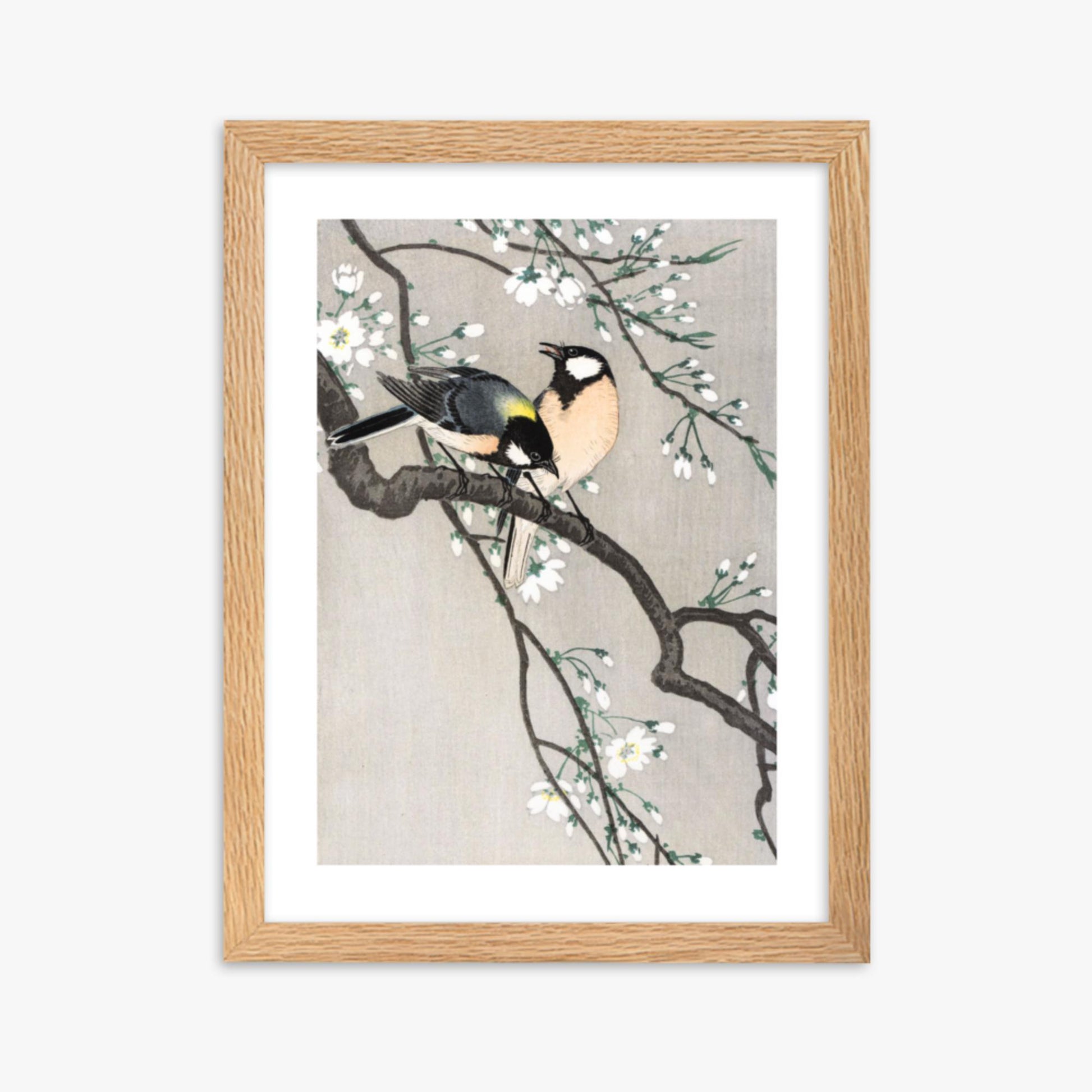 Ohara Koson - Tits on Cherry Branch 30x40 cm Poster With Oak Frame