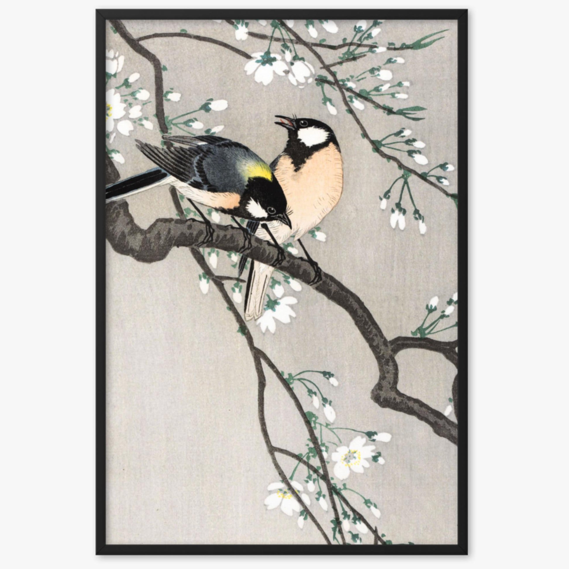 Ohara Koson - Tits on Cherry Branch 61x91 cm Poster With Black Frame