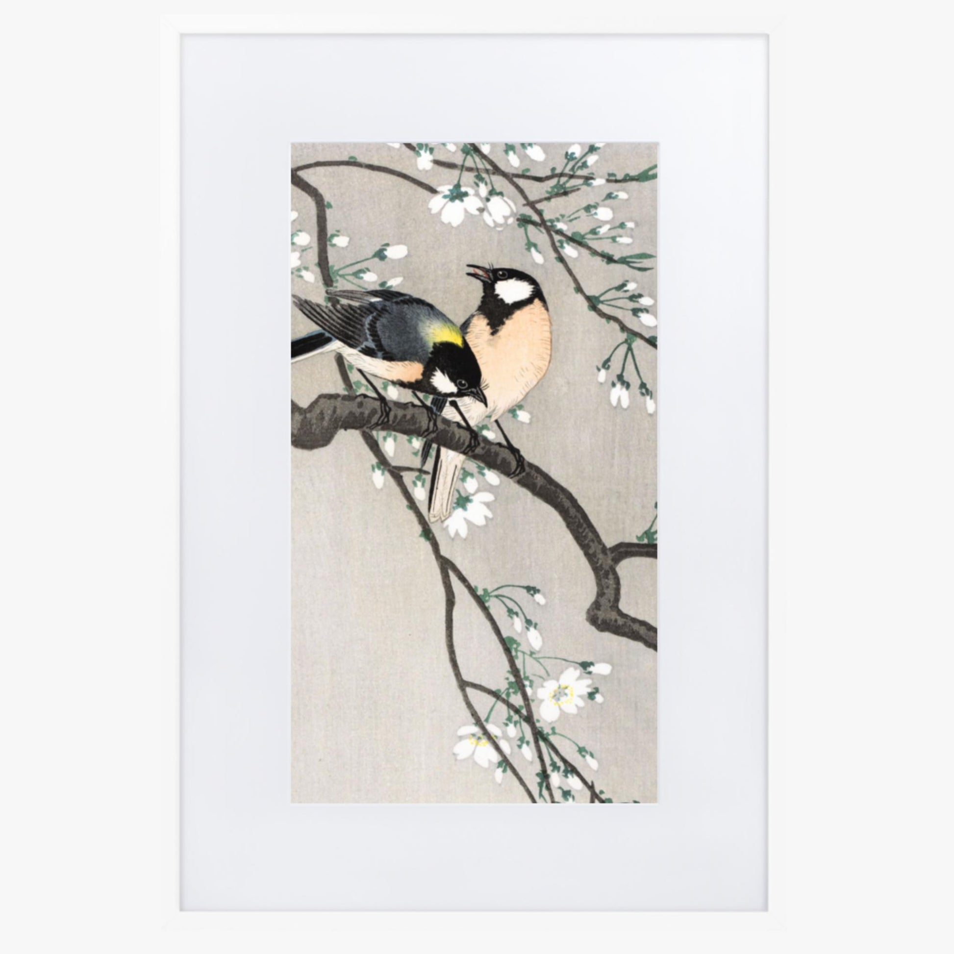 Ohara Koson - Tits on Cherry Branch 61x91 cm Poster With White Frame