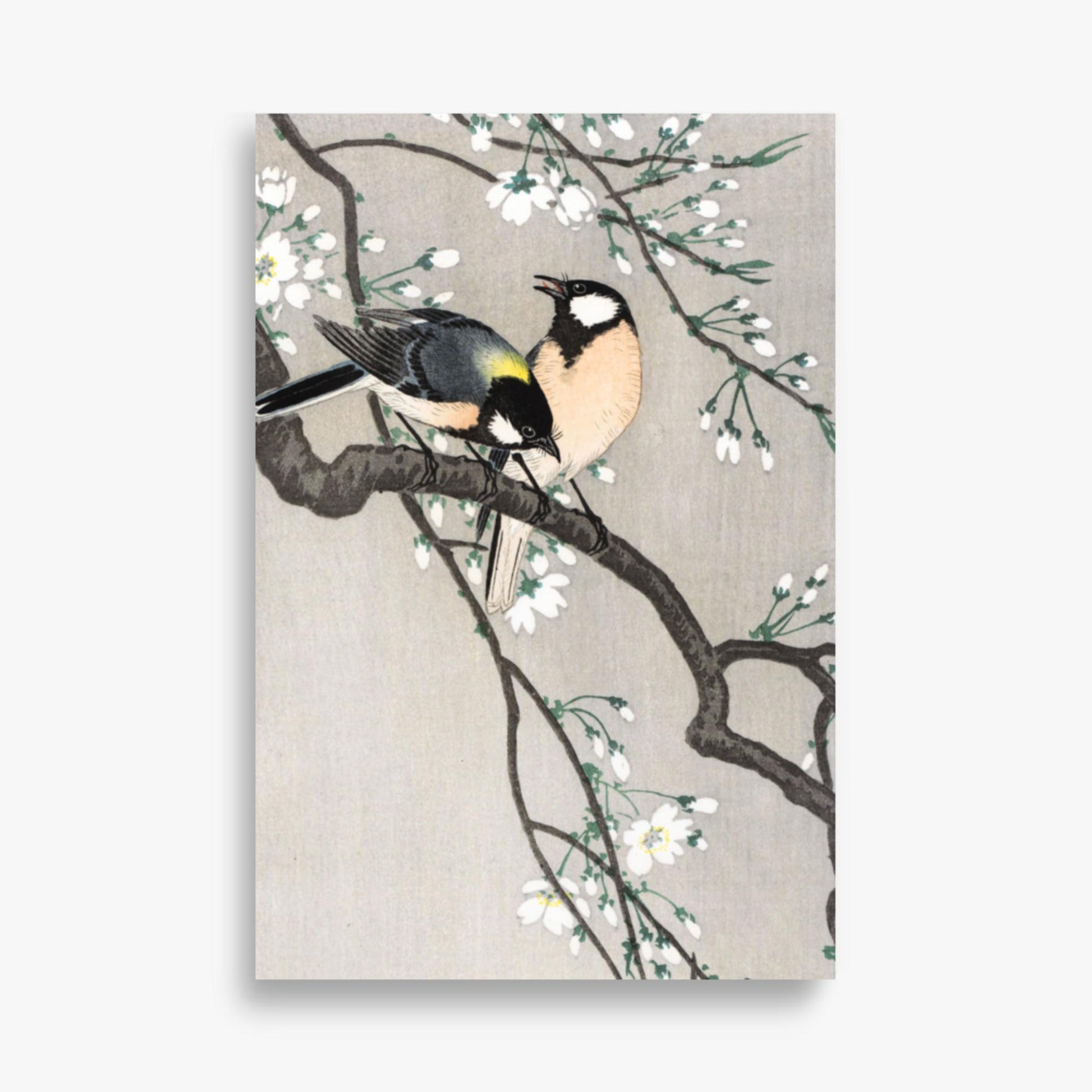 Ohara Koson - Tits on Cherry Branch 61x91 cm Poster