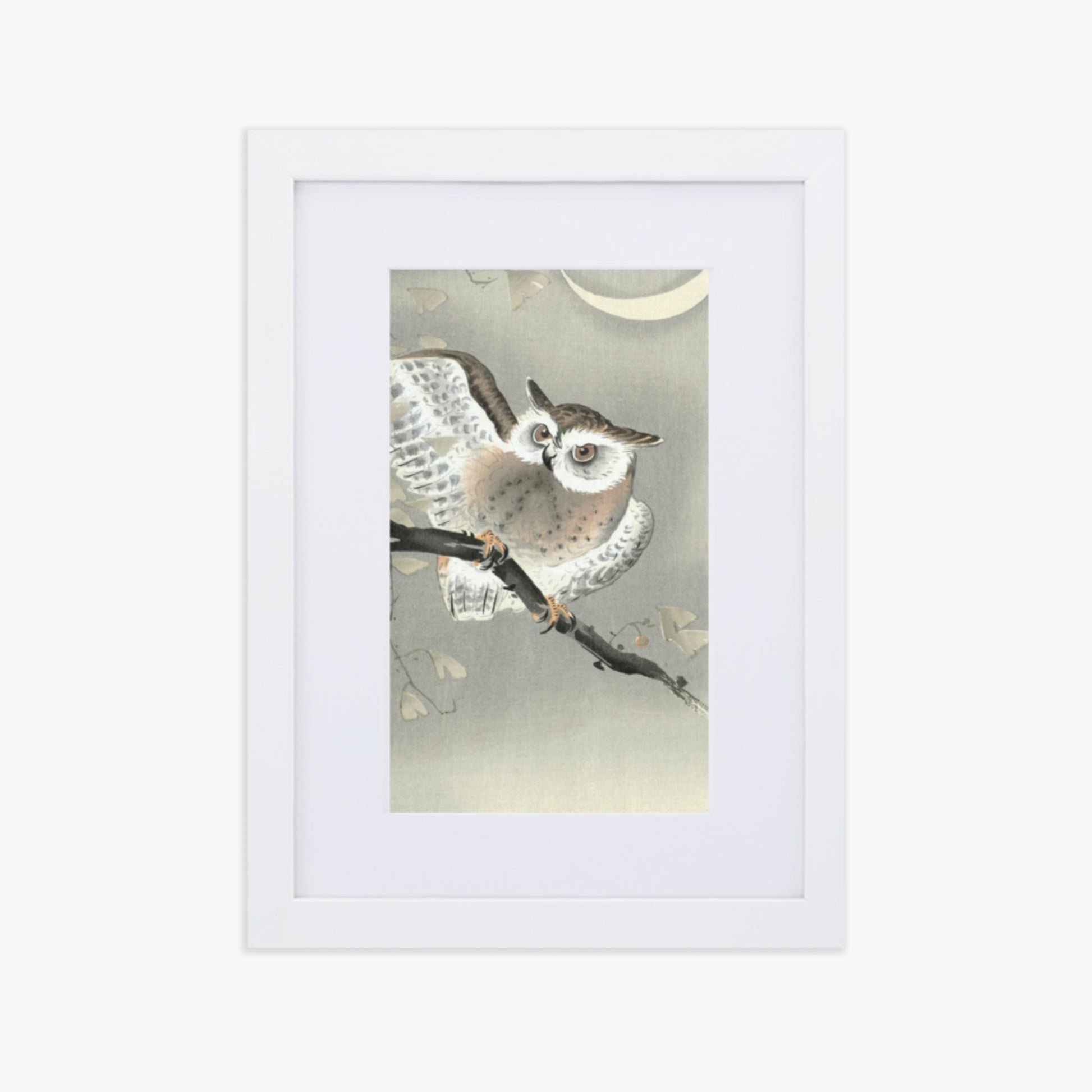 Ohara Koson - Long-Eared Owl in Ginkgo 21x30 cm Poster With White Frame