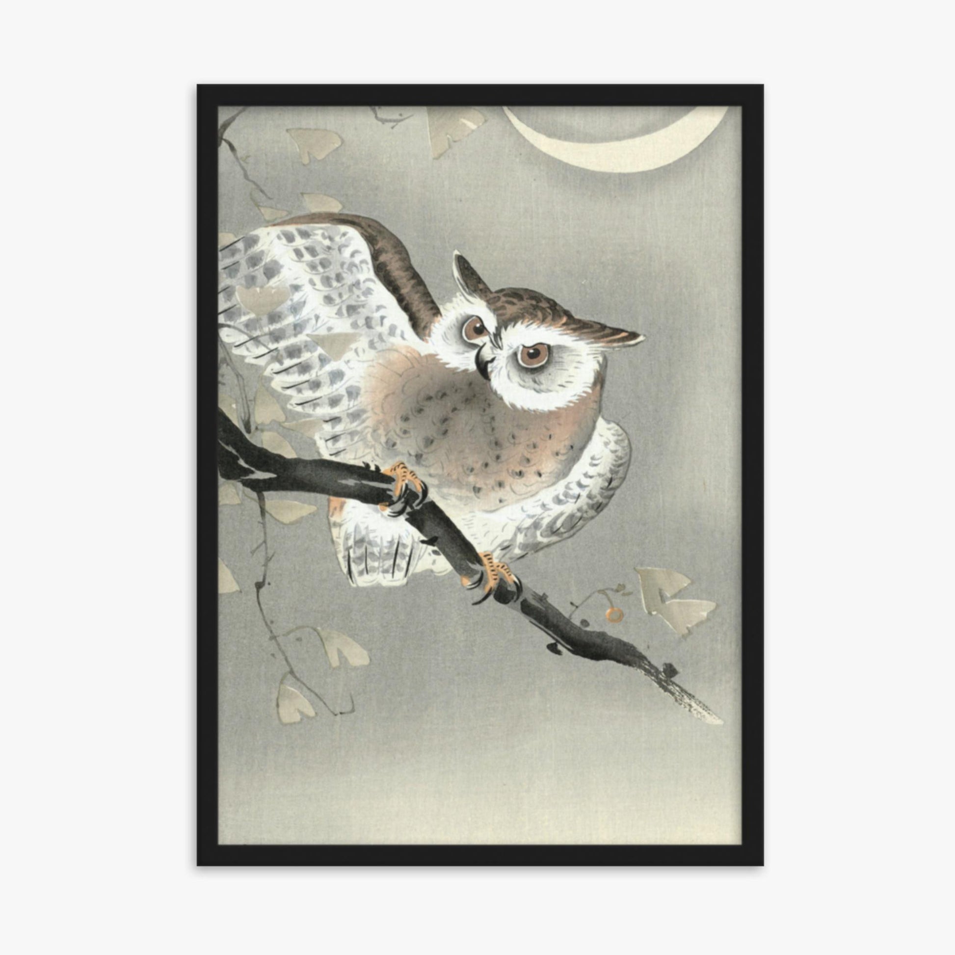 Ohara Koson - Long-Eared Owl in Ginkgo 50x70 cm Poster With Black Frame