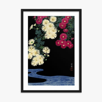 Ohara Koson - Chrysanthemums 50x70 cm Poster With Black Frame