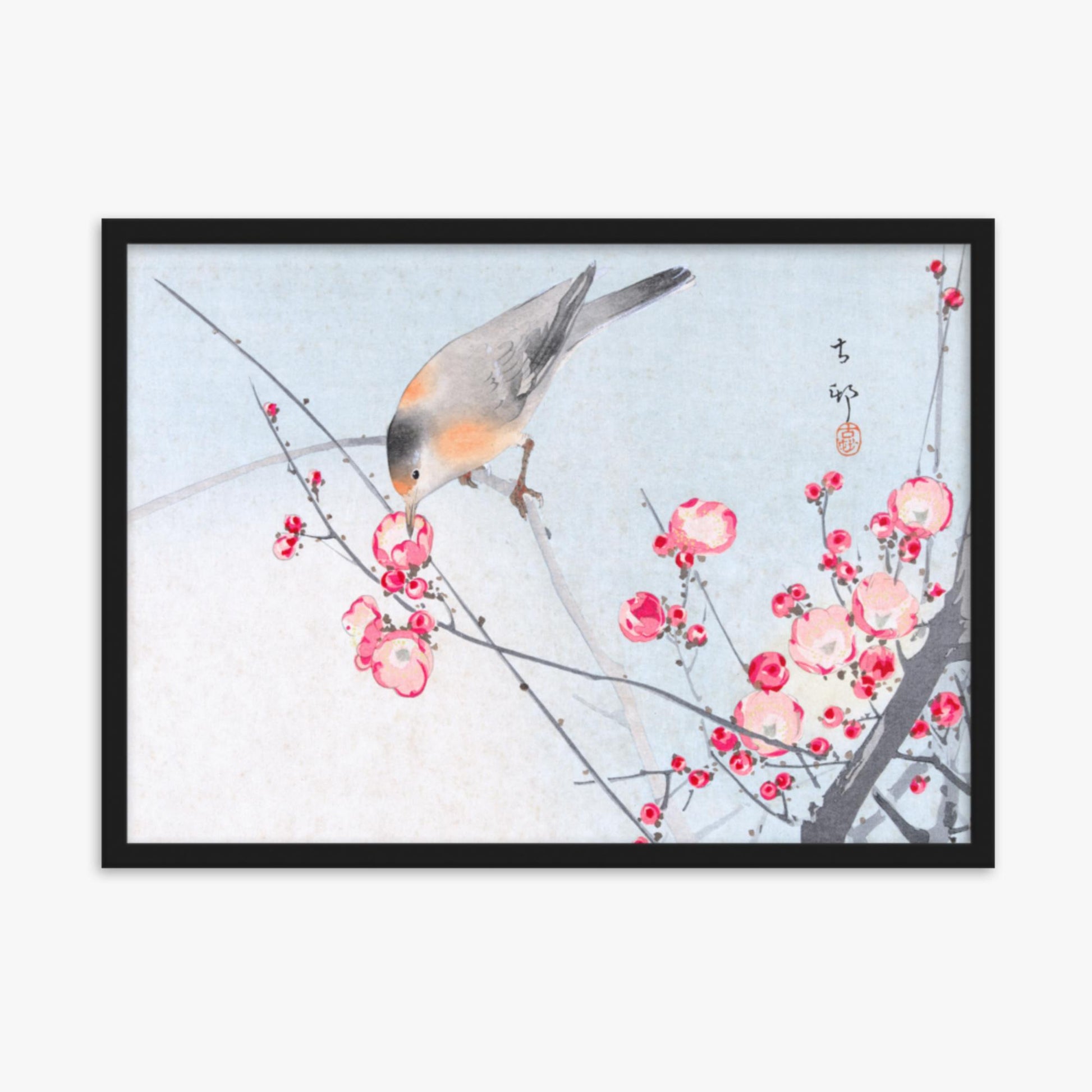 Ohara Koson - Songbird on Blossom Branch 50x70 cm Poster With Black Frame