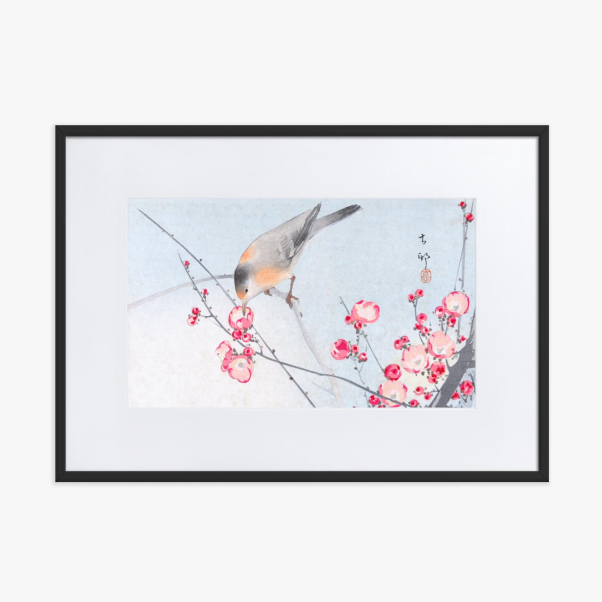 Ohara Koson - Songbird on Blossom Branch 50x70 cm Poster With Black Frame