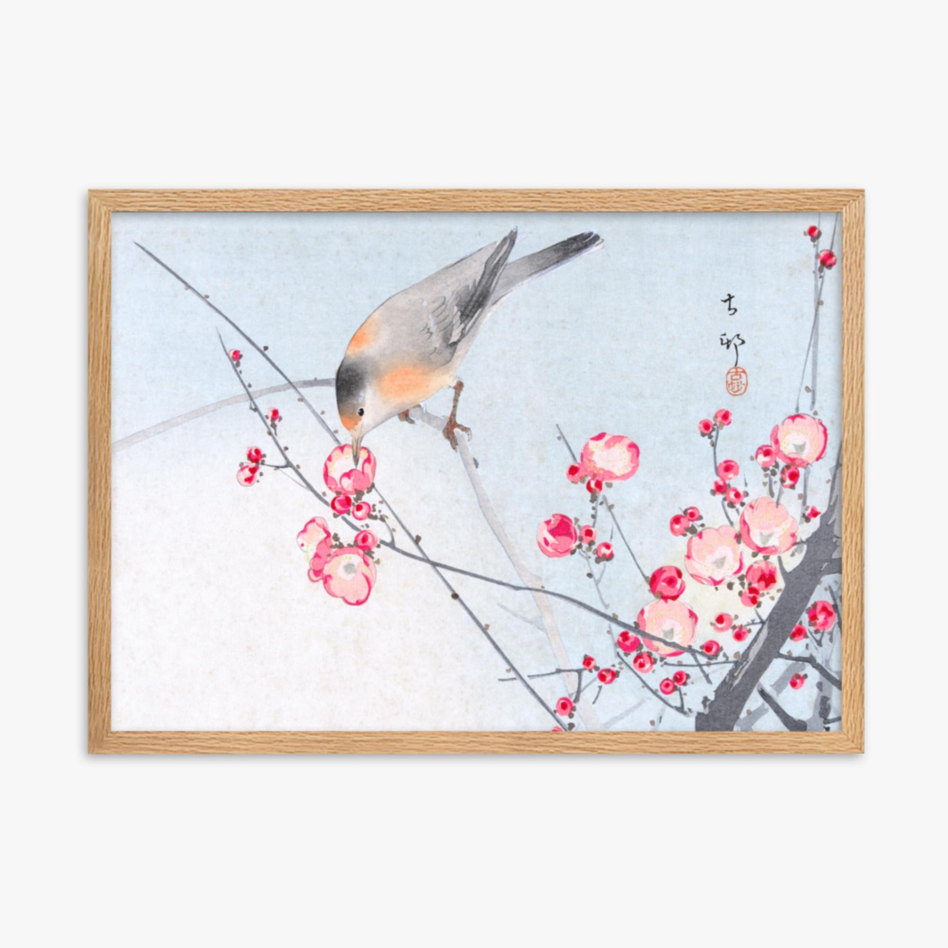 Ohara Koson - Songbird on Blossom Branch 50x70 cm Poster With Oak Frame