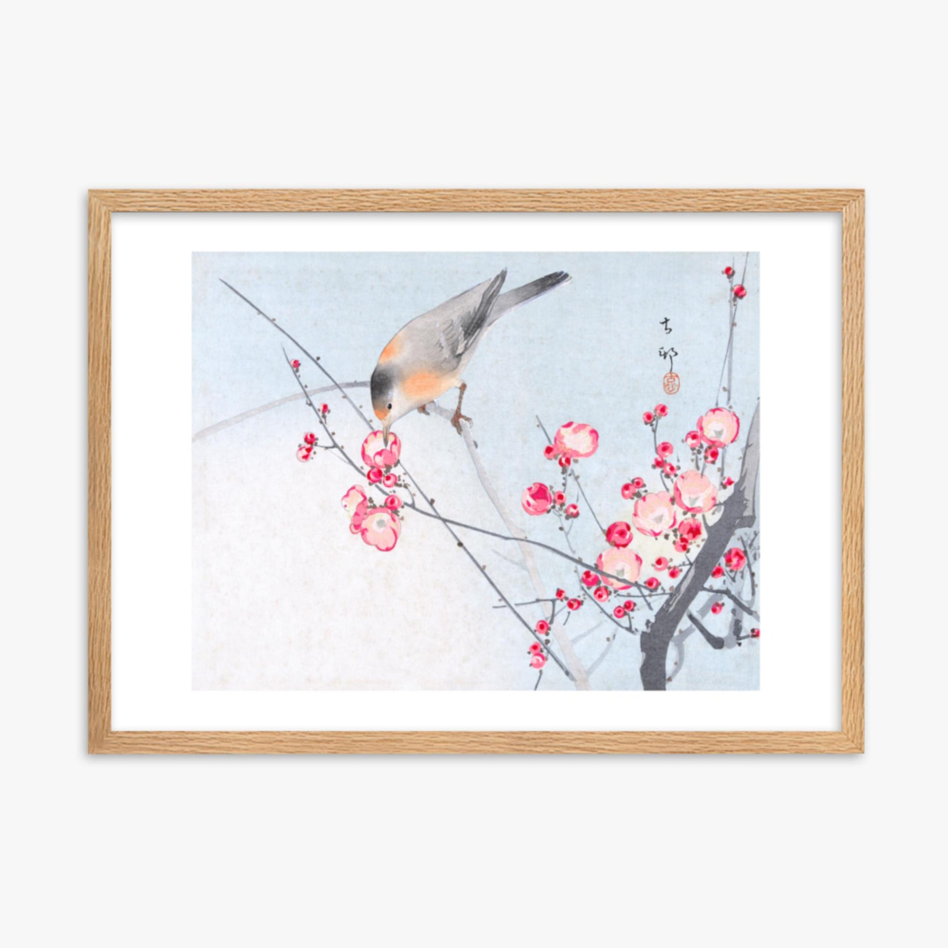 Ohara Koson - Songbird on Blossom Branch 50x70 cm Poster With Oak Frame