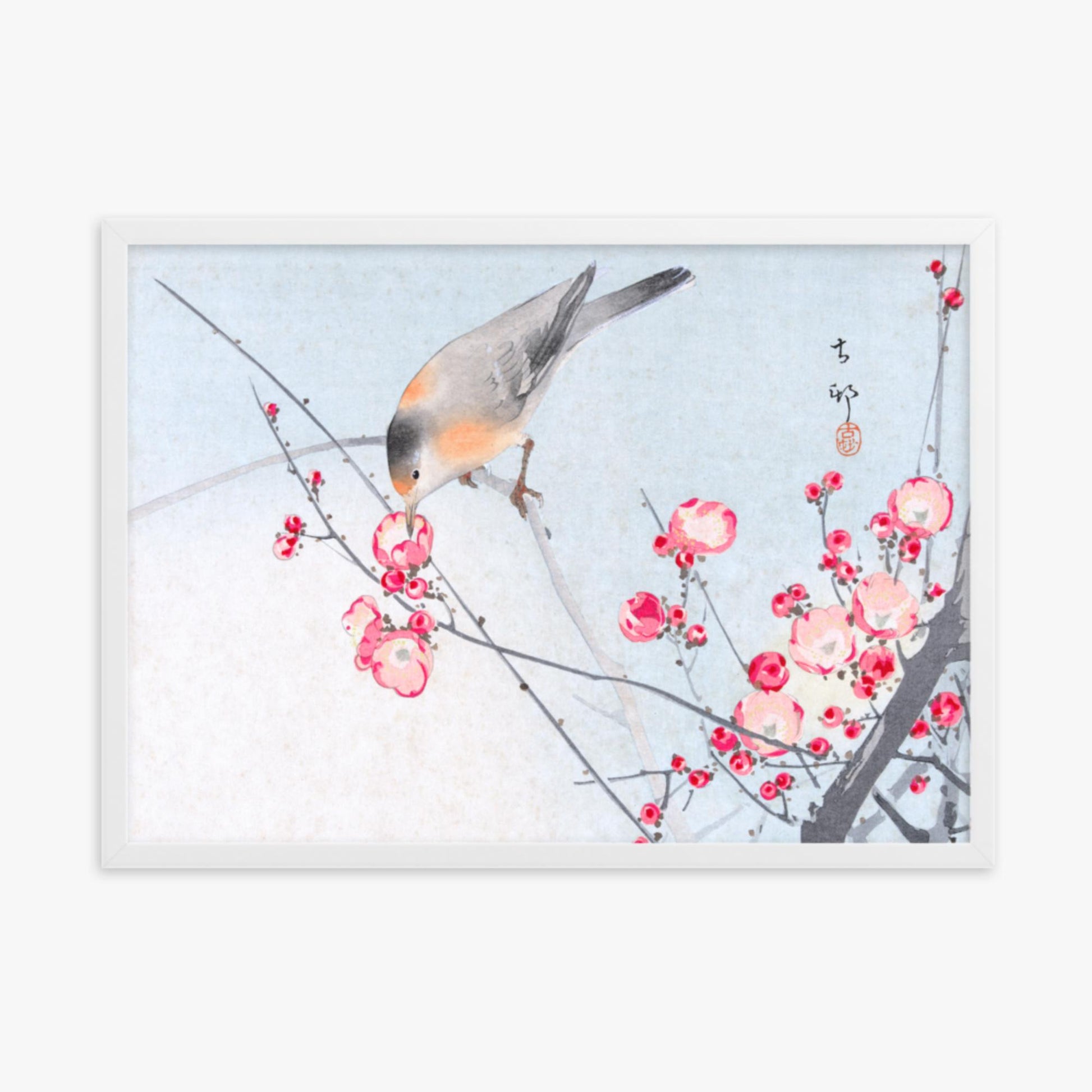 Ohara Koson - Songbird on Blossom Branch 50x70 cm Poster With White Frame