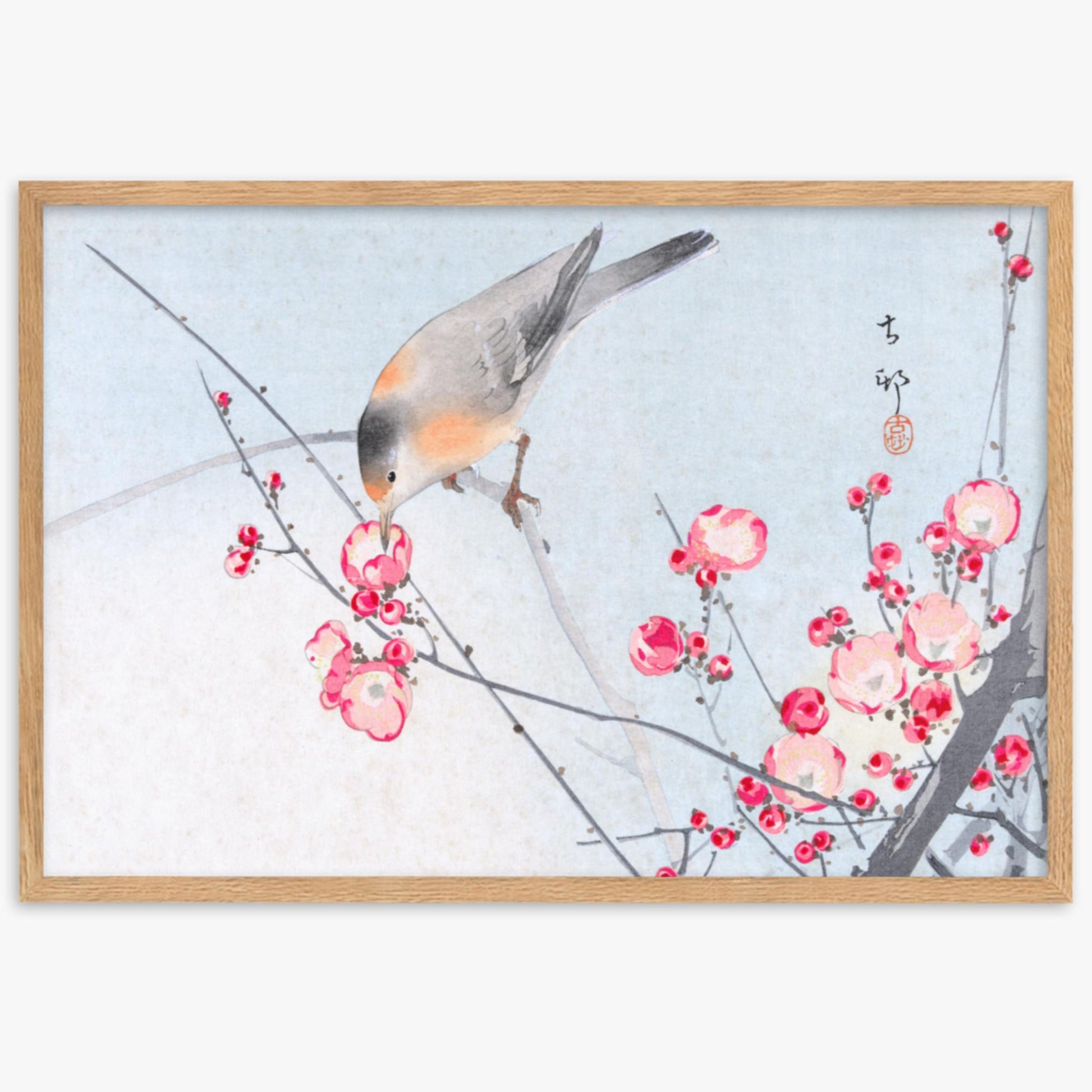 Ohara Koson - Songbird on Blossom Branch 61x91 cm Poster With Oak Frame